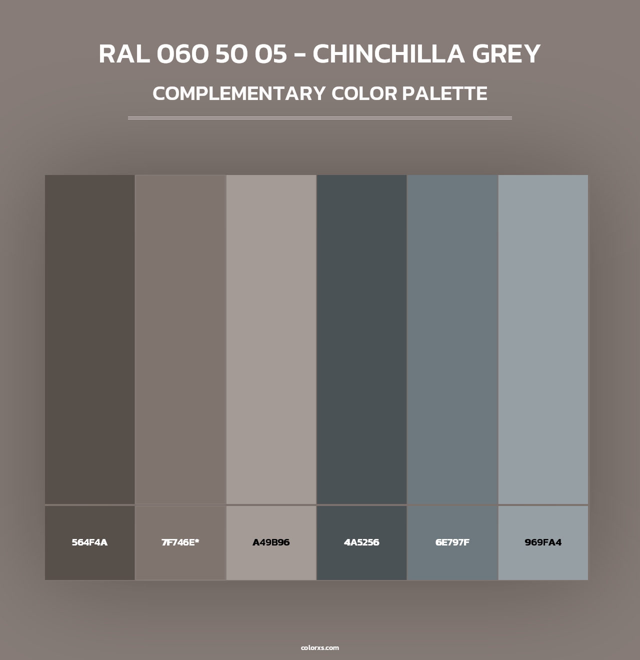 RAL 060 50 05 - Chinchilla Grey - Complementary Color Palette