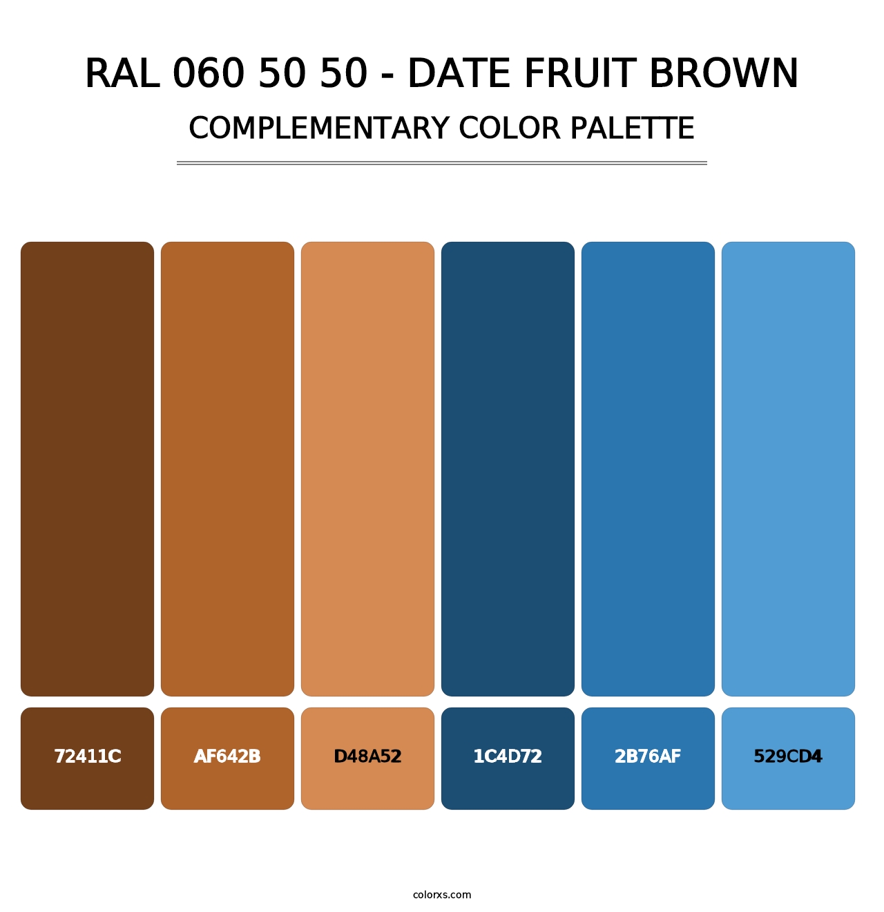 RAL 060 50 50 - Date Fruit Brown - Complementary Color Palette