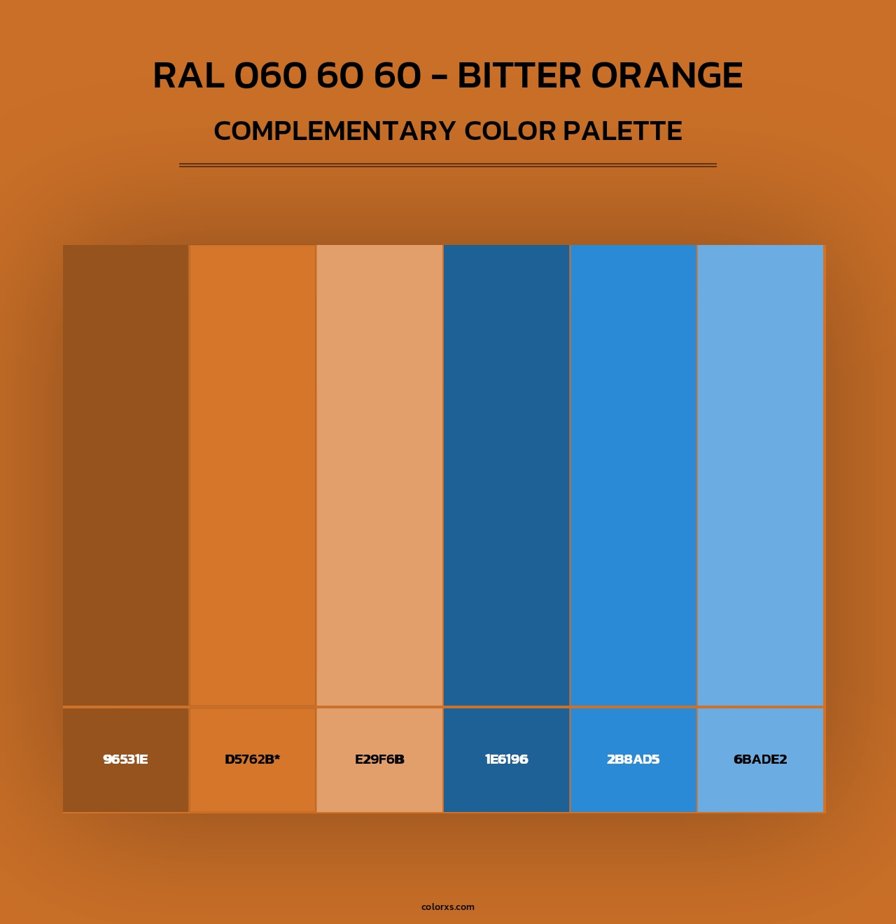 RAL 060 60 60 - Bitter Orange - Complementary Color Palette