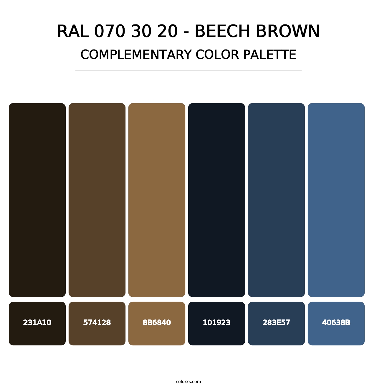 RAL 070 30 20 - Beech Brown - Complementary Color Palette