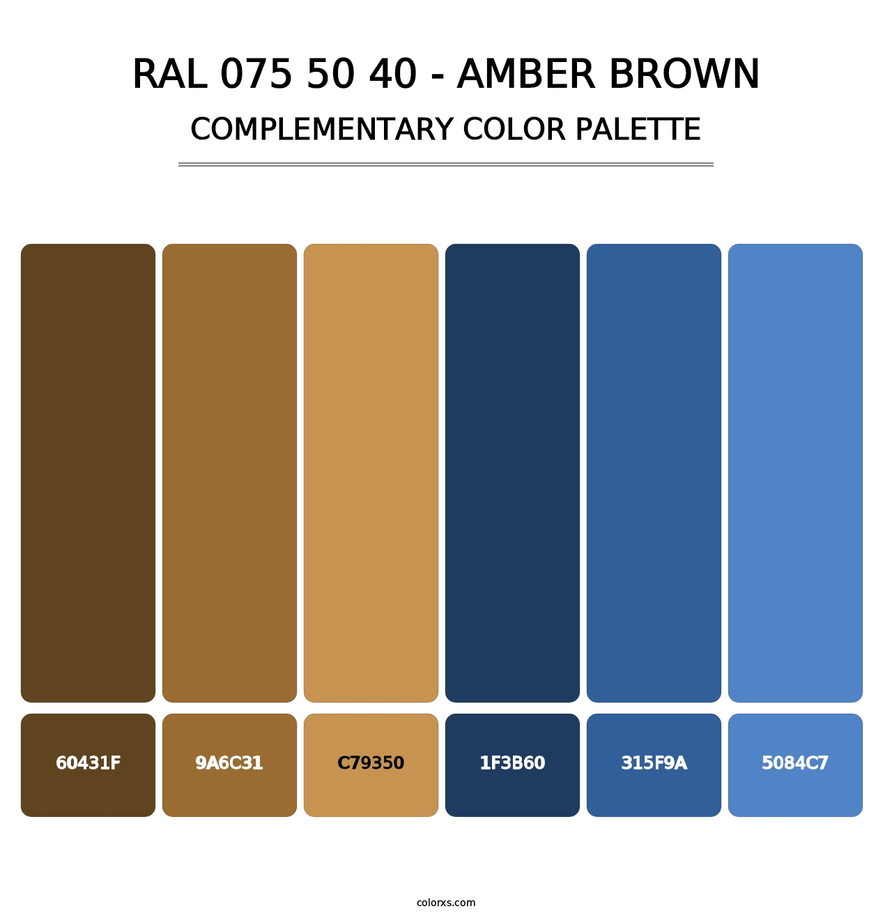 RAL 075 50 40 - Amber Brown - Complementary Color Palette