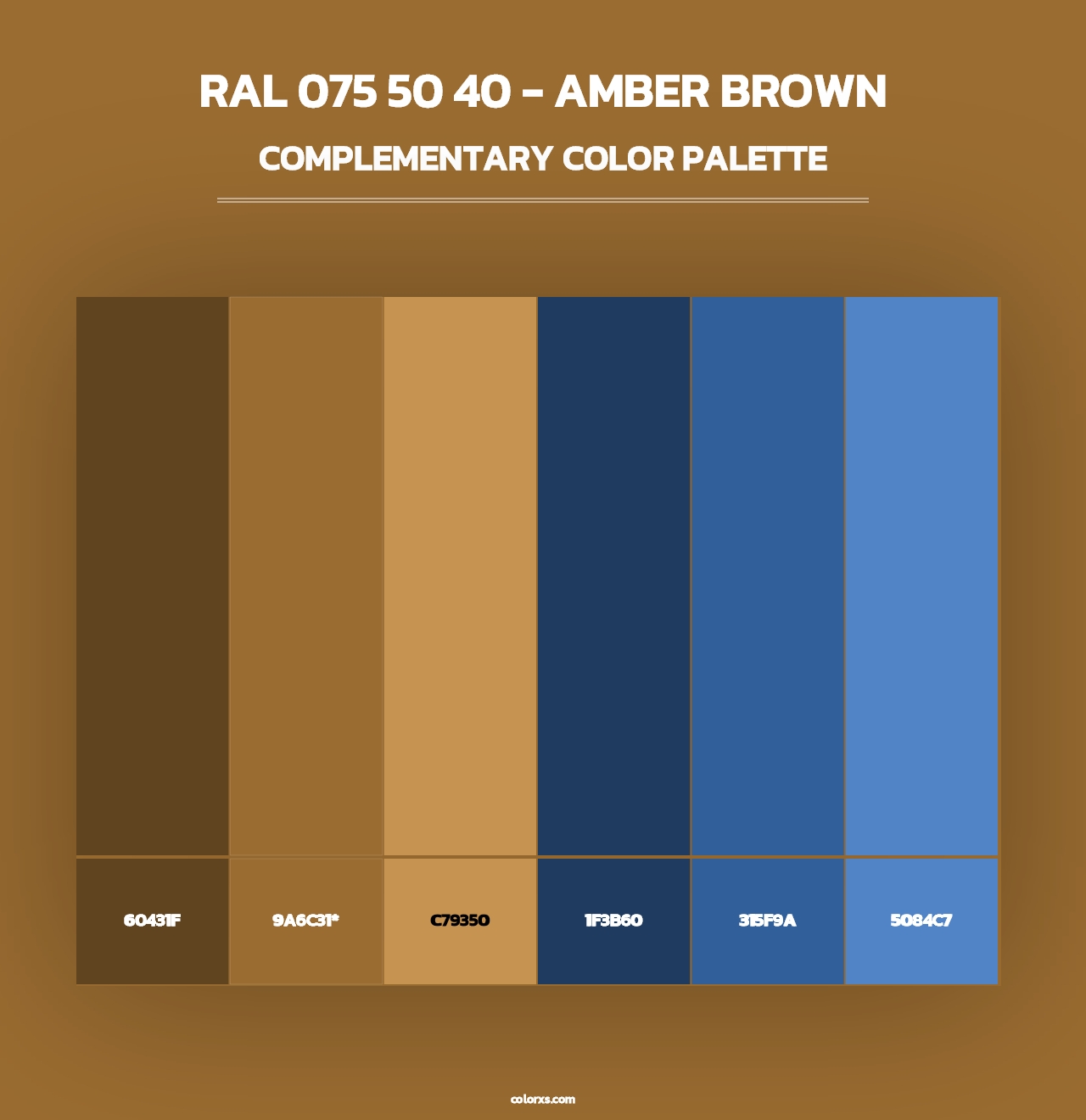 RAL 075 50 40 - Amber Brown - Complementary Color Palette