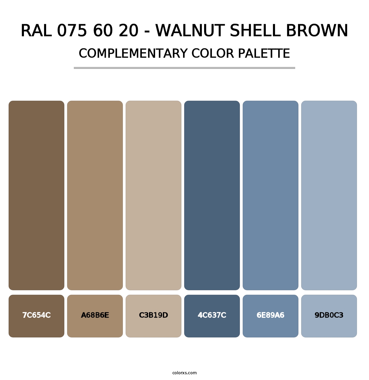 RAL 075 60 20 - Walnut Shell Brown - Complementary Color Palette
