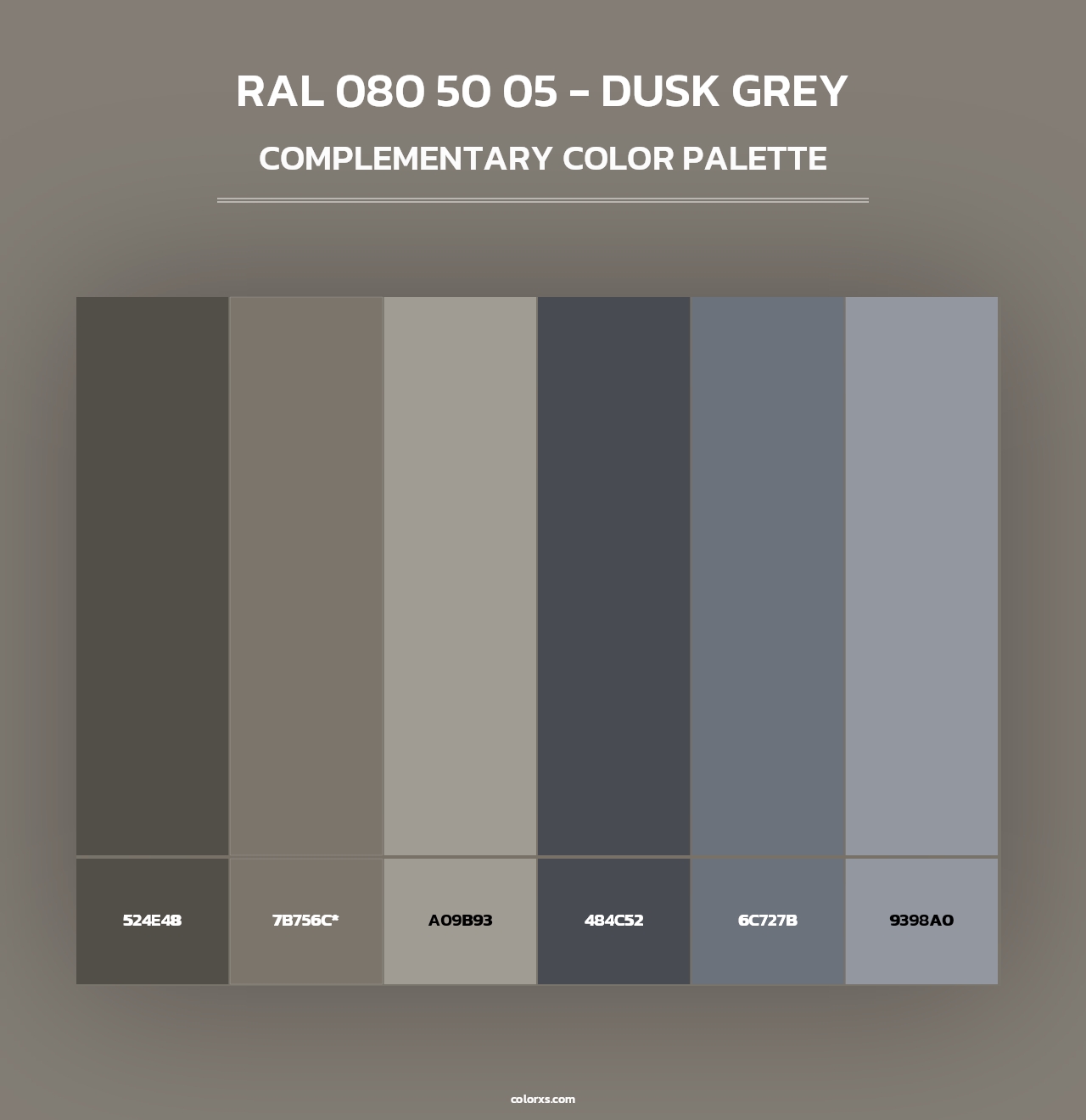 RAL 080 50 05 - Dusk Grey - Complementary Color Palette