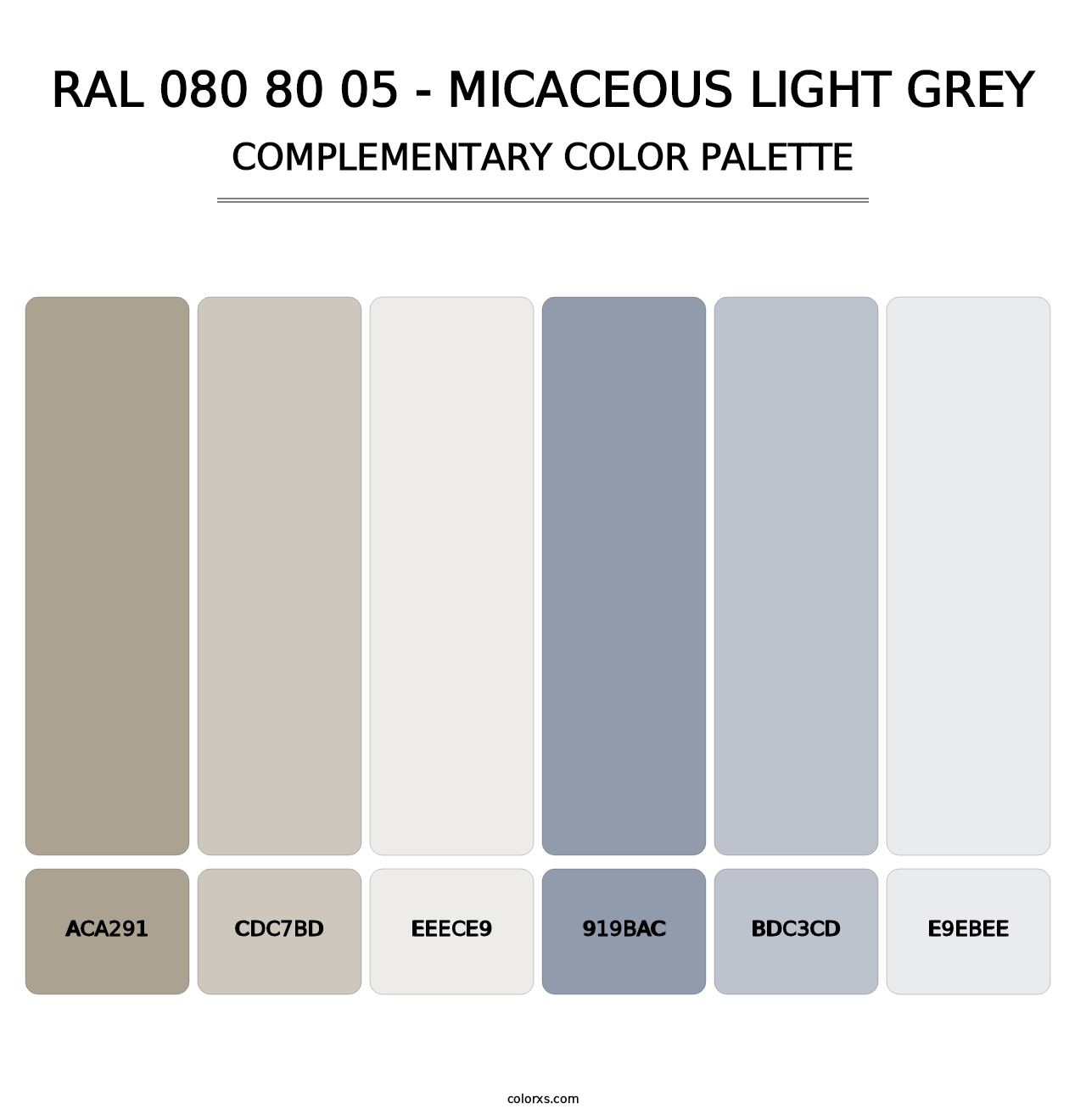 RAL 080 80 05 - Micaceous Light Grey - Complementary Color Palette