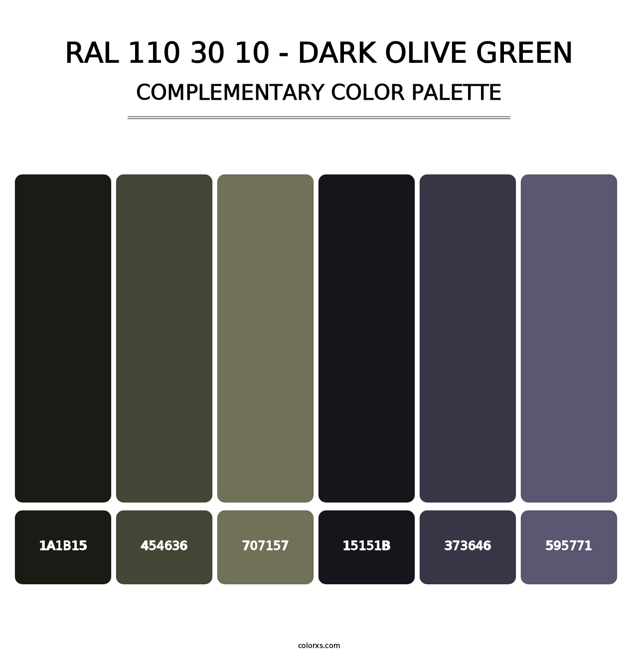 RAL 110 30 10 - Dark Olive Green - Complementary Color Palette