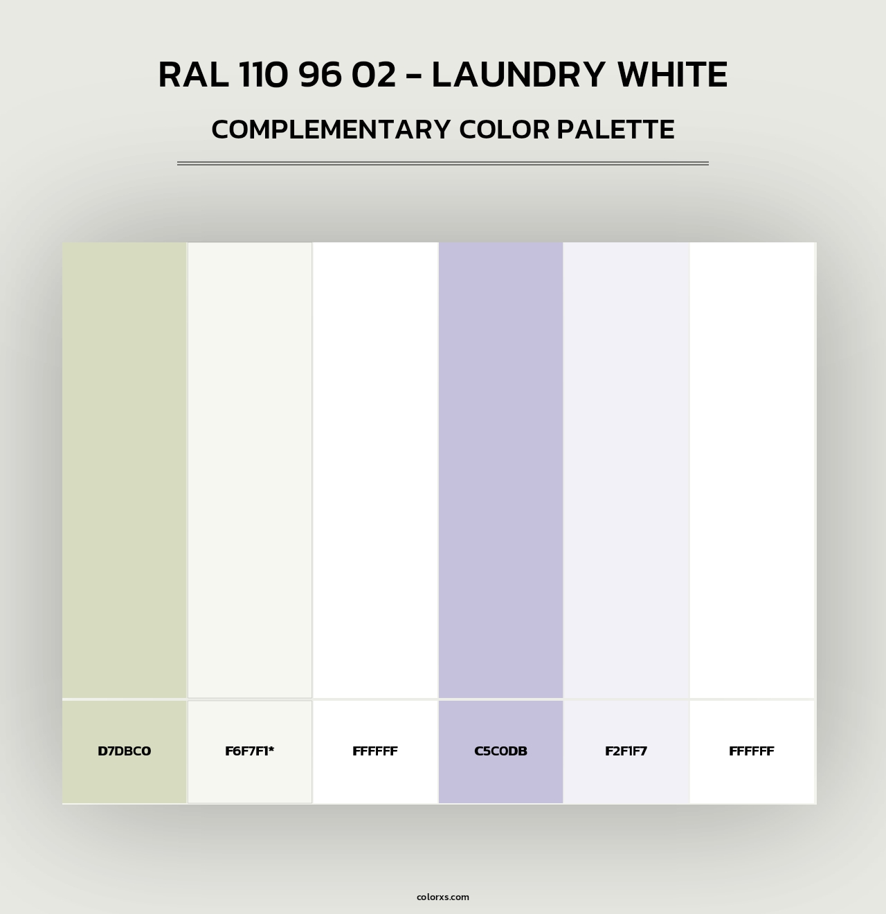 RAL 110 96 02 - Laundry White - Complementary Color Palette