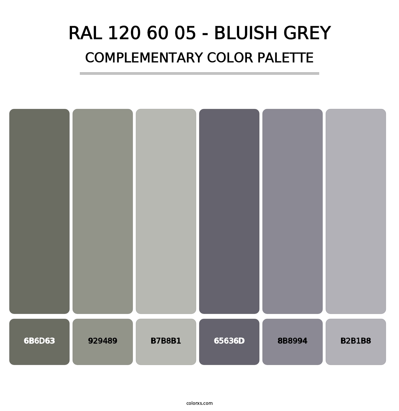 RAL 120 60 05 - Bluish Grey - Complementary Color Palette