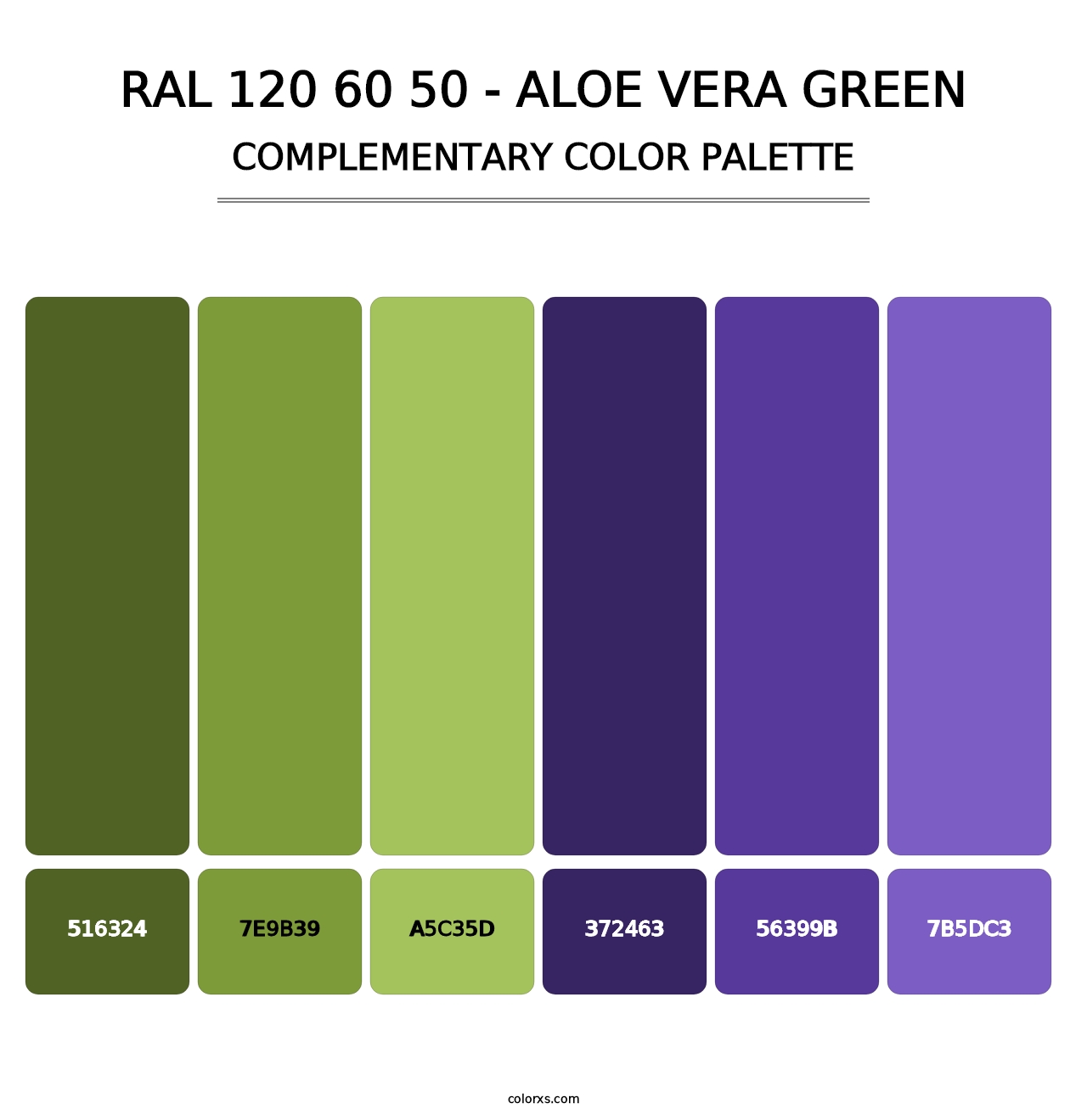 RAL 120 60 50 - Aloe Vera Green - Complementary Color Palette