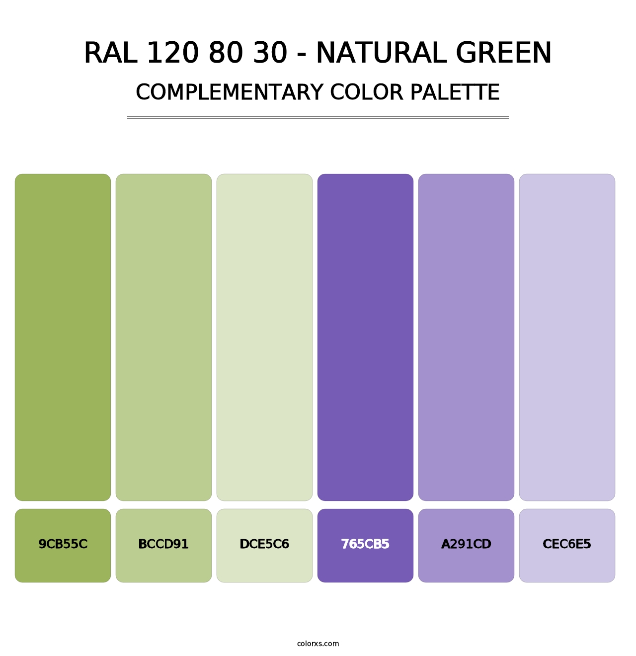 RAL 120 80 30 - Natural Green - Complementary Color Palette