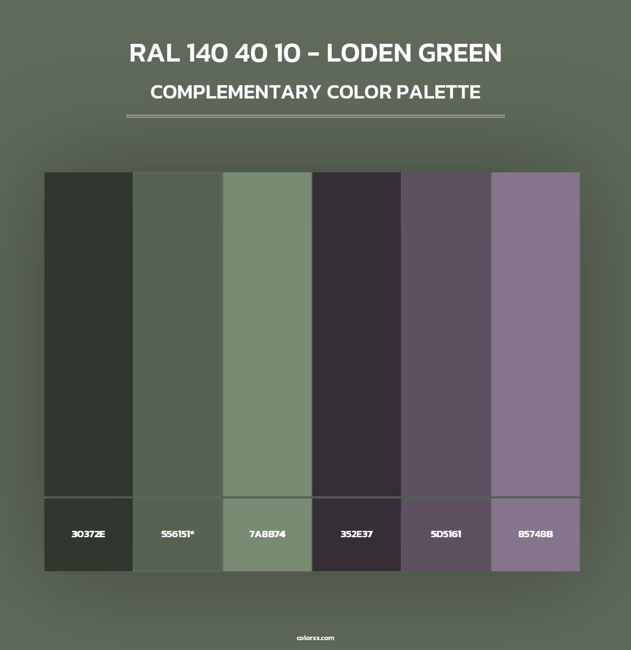 RAL 140 40 10 - Loden Green - Complementary Color Palette