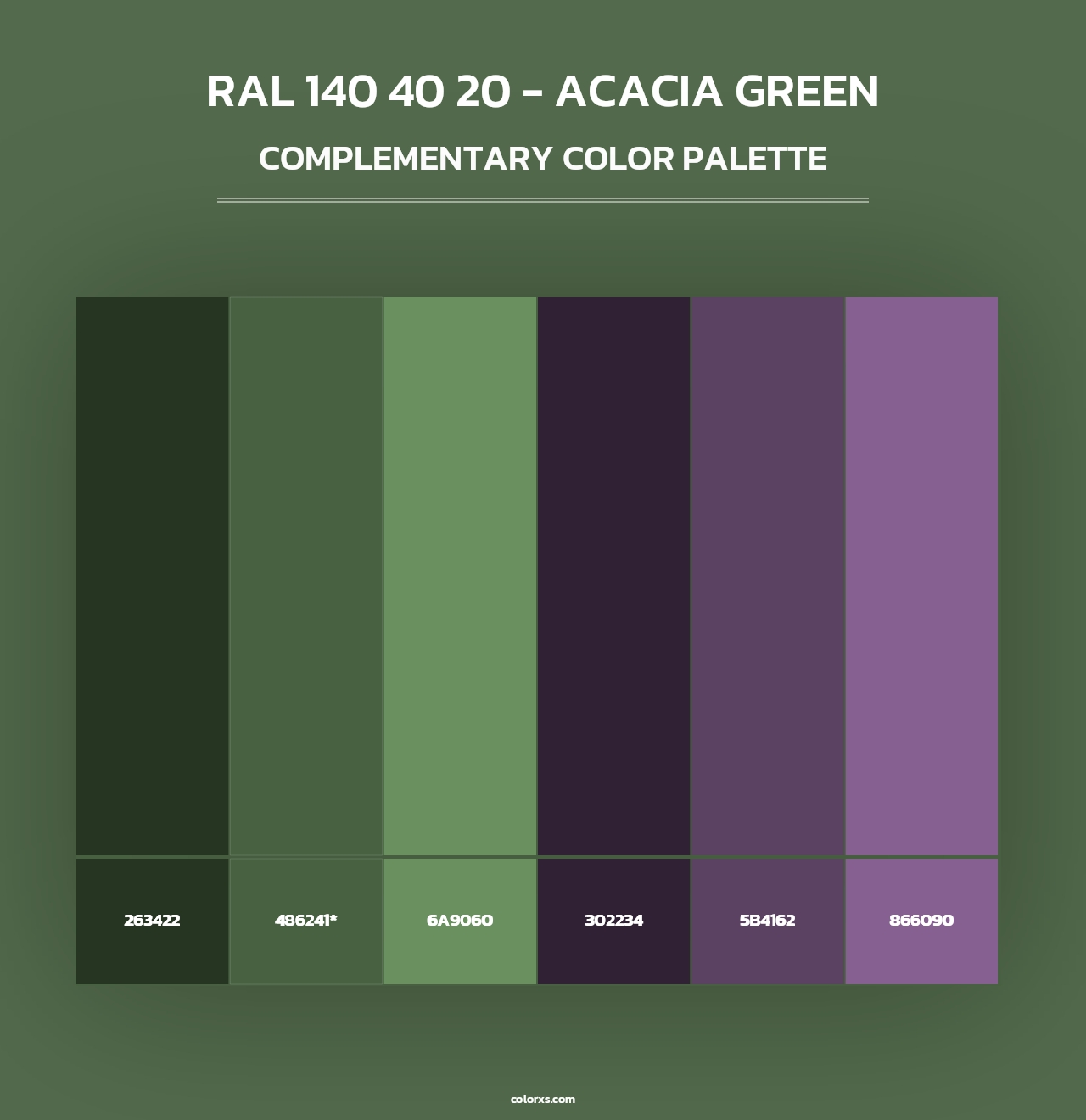 RAL 140 40 20 - Acacia Green - Complementary Color Palette