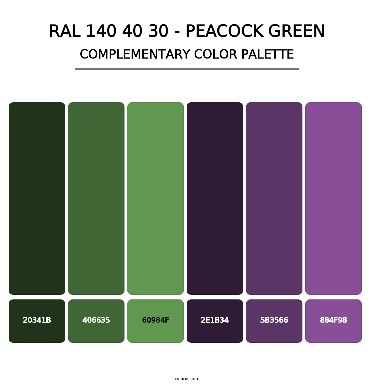 RAL 140 40 30 - Peacock Green - Complementary Color Palette