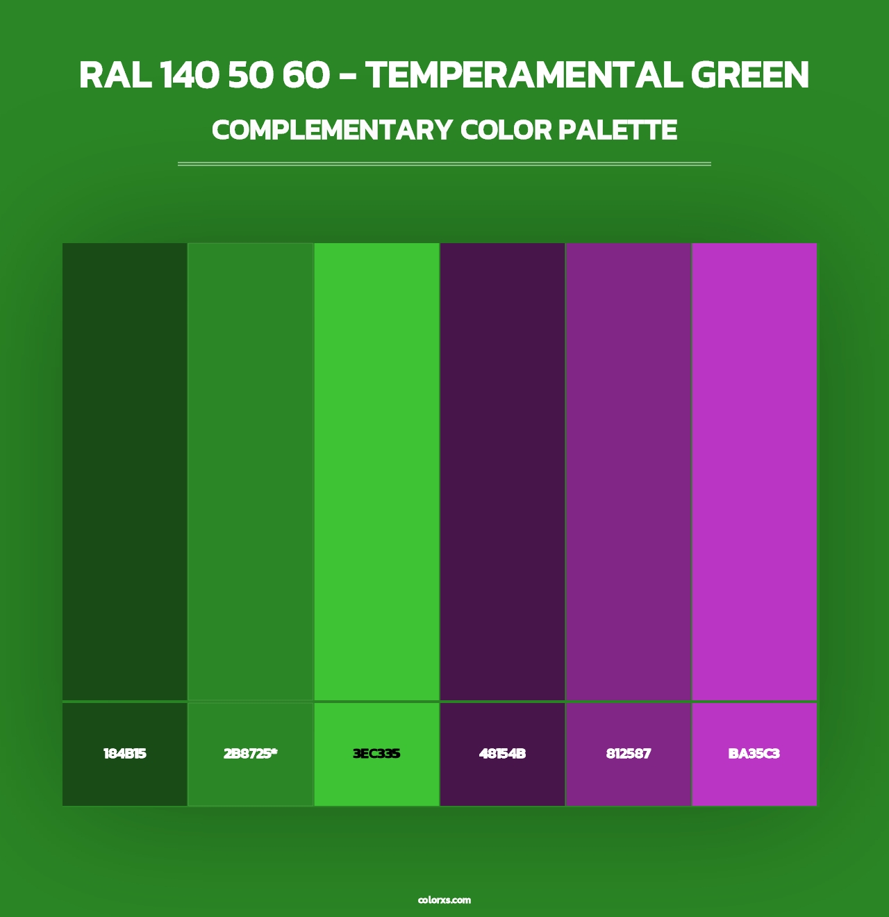 RAL 140 50 60 - Temperamental Green - Complementary Color Palette