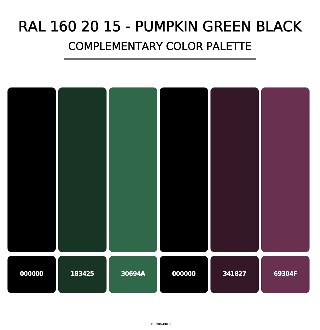 RAL 160 20 15 - Pumpkin Green Black - Complementary Color Palette