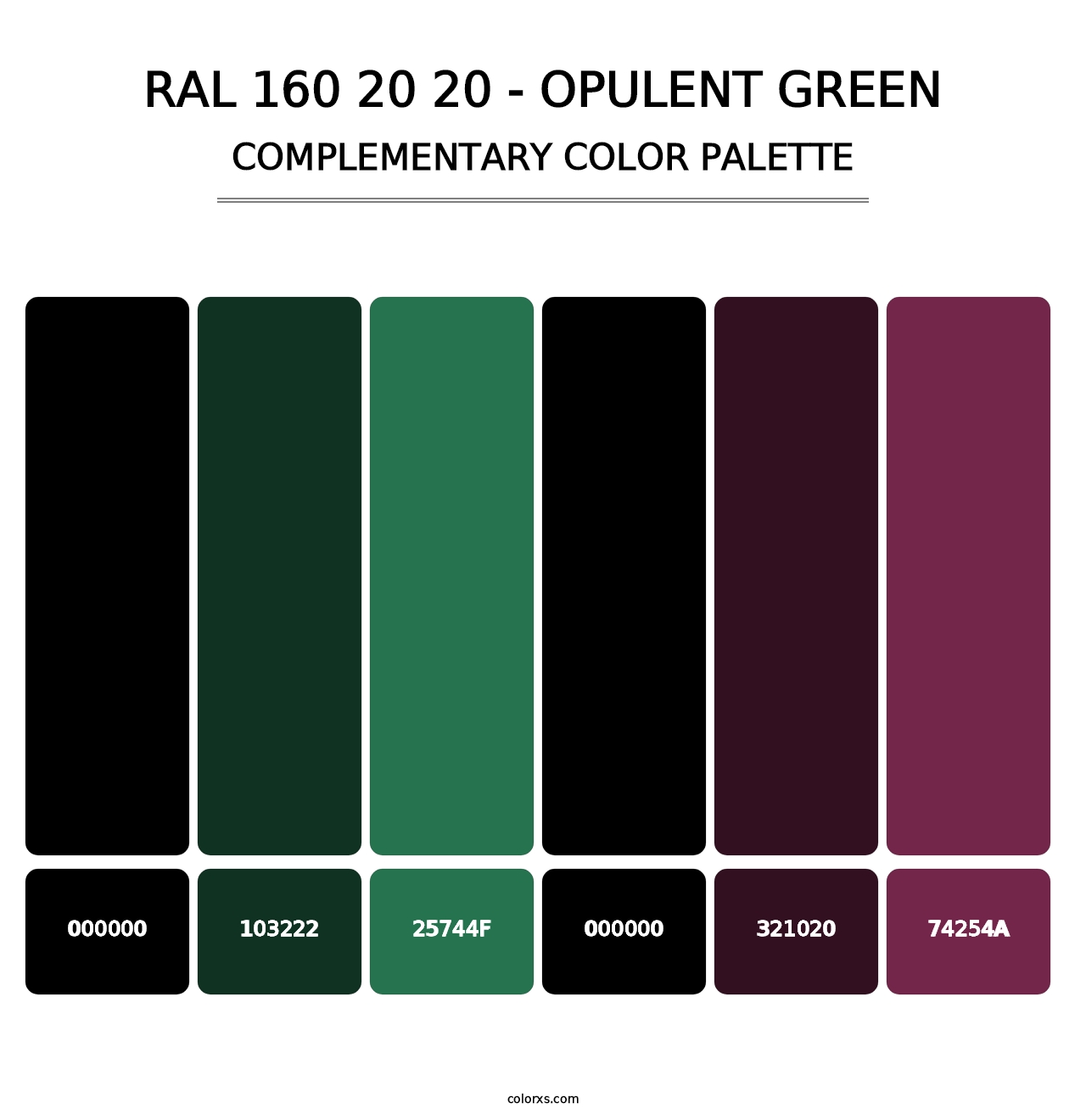 RAL 160 20 20 - Opulent Green - Complementary Color Palette