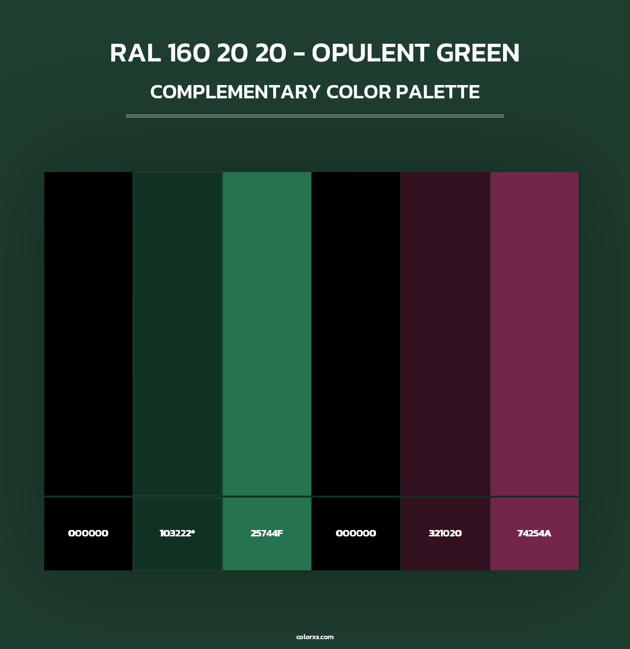 RAL 160 20 20 - Opulent Green - Complementary Color Palette