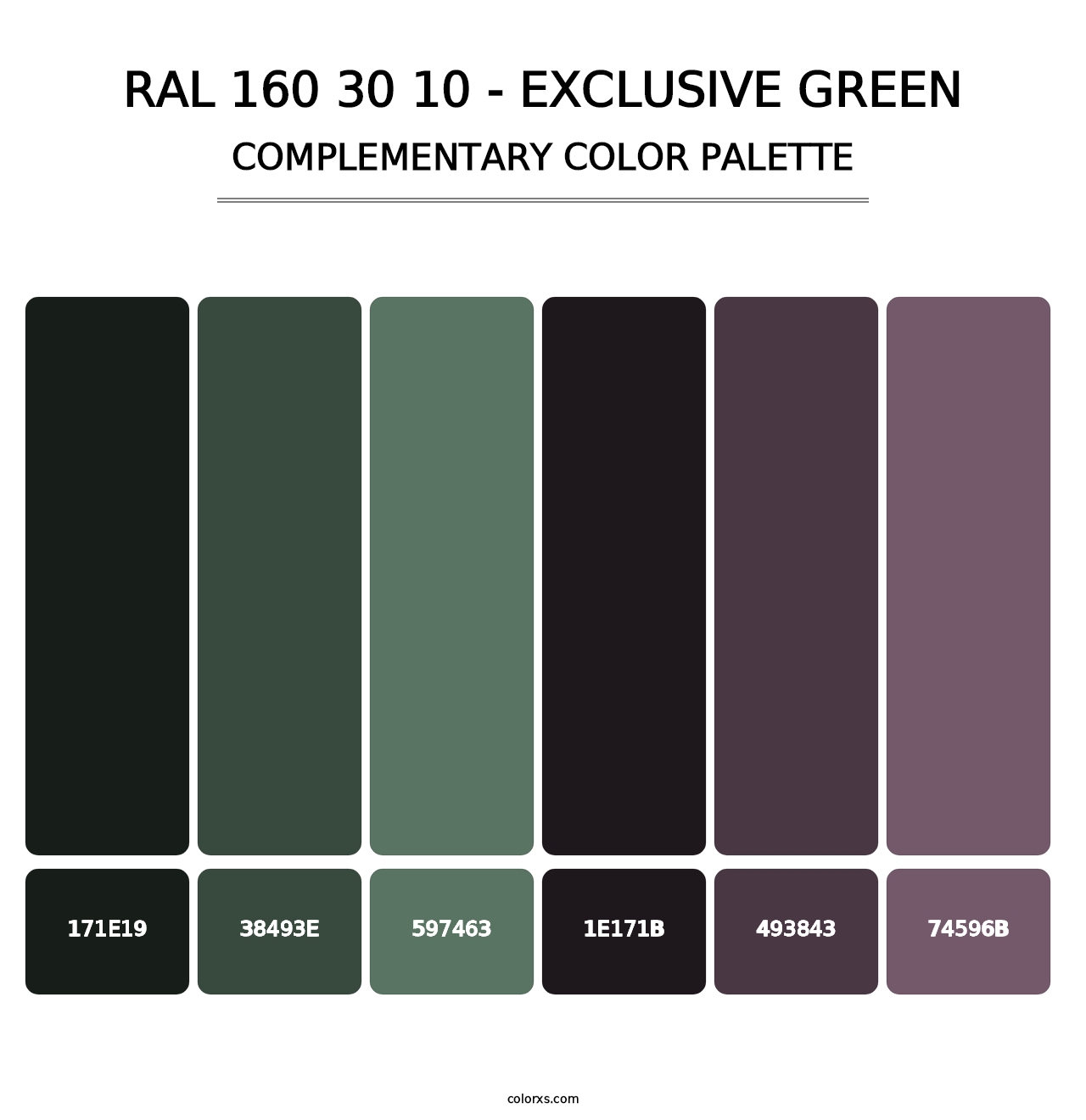 RAL 160 30 10 - Exclusive Green - Complementary Color Palette