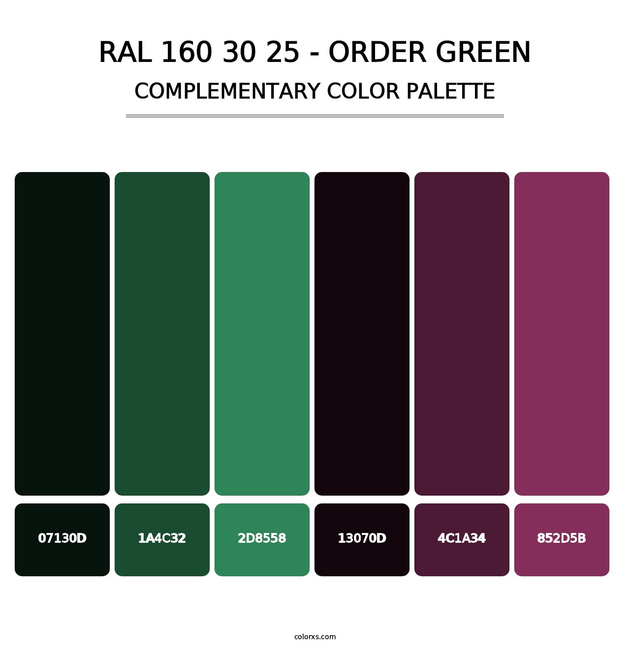 RAL 160 30 25 - Order Green - Complementary Color Palette