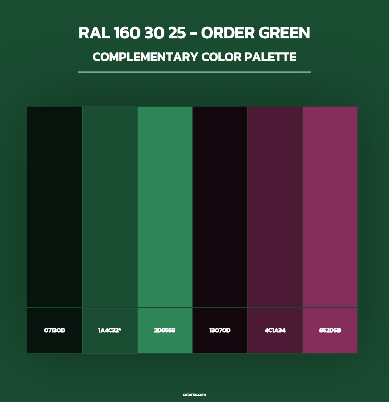 RAL 160 30 25 - Order Green - Complementary Color Palette