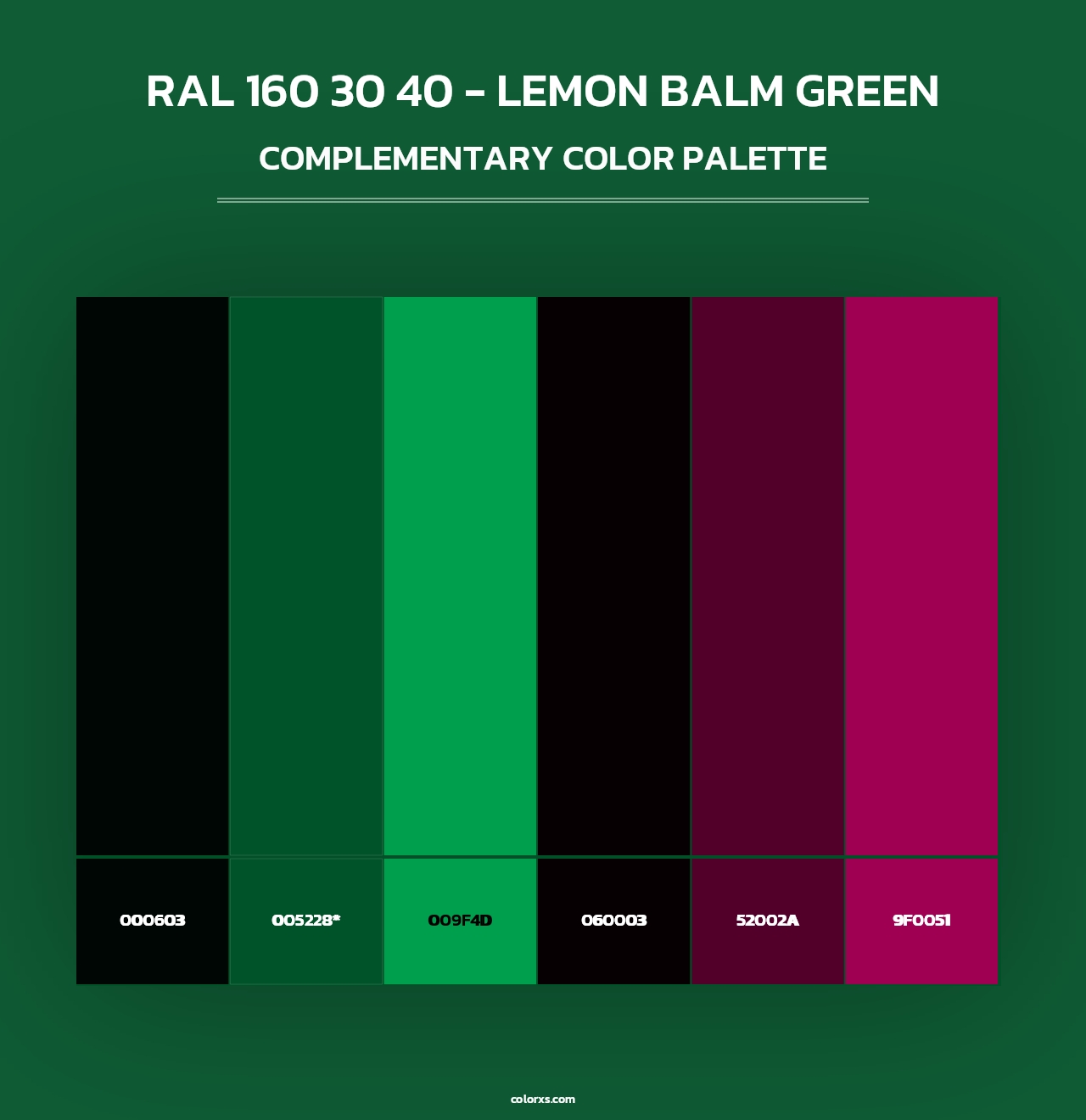 RAL 160 30 40 - Lemon Balm Green - Complementary Color Palette
