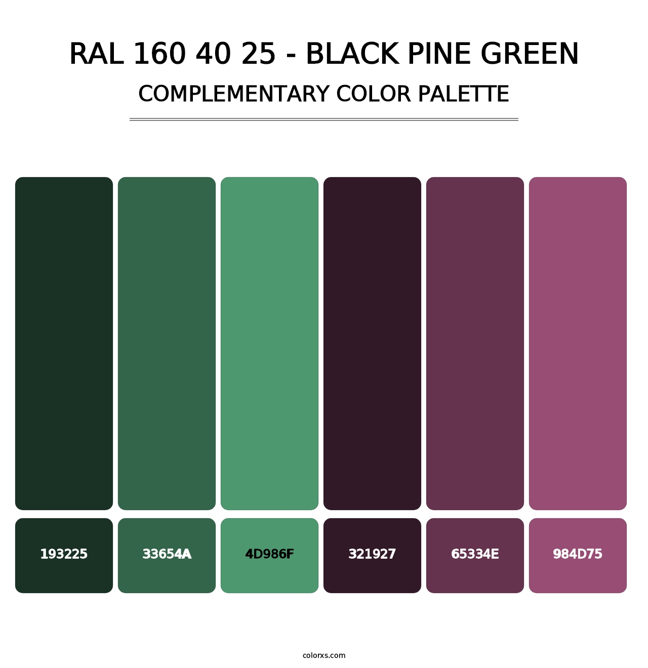 RAL 160 40 25 - Black Pine Green - Complementary Color Palette
