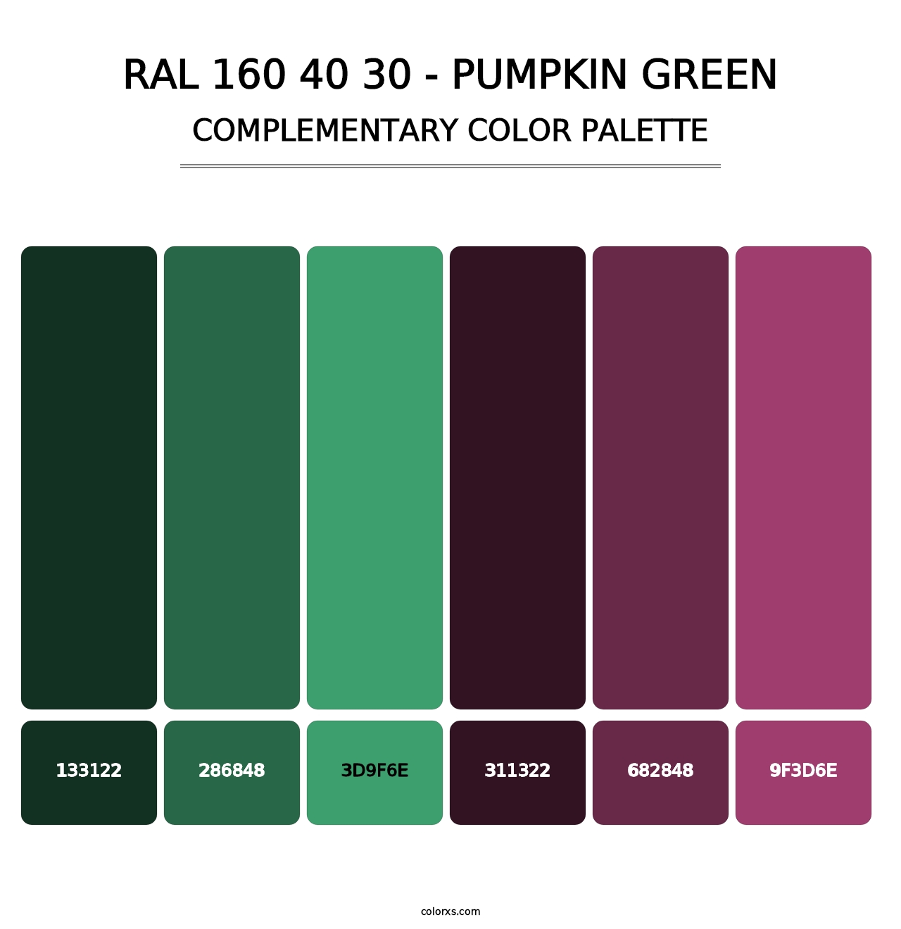 RAL 160 40 30 - Pumpkin Green - Complementary Color Palette