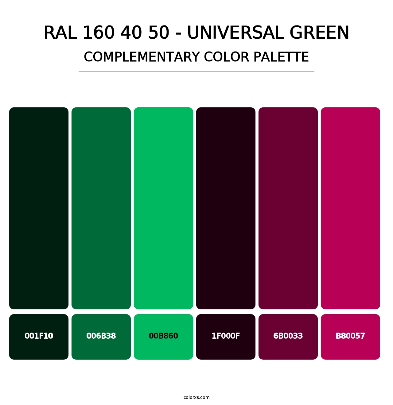 RAL 160 40 50 - Universal Green - Complementary Color Palette