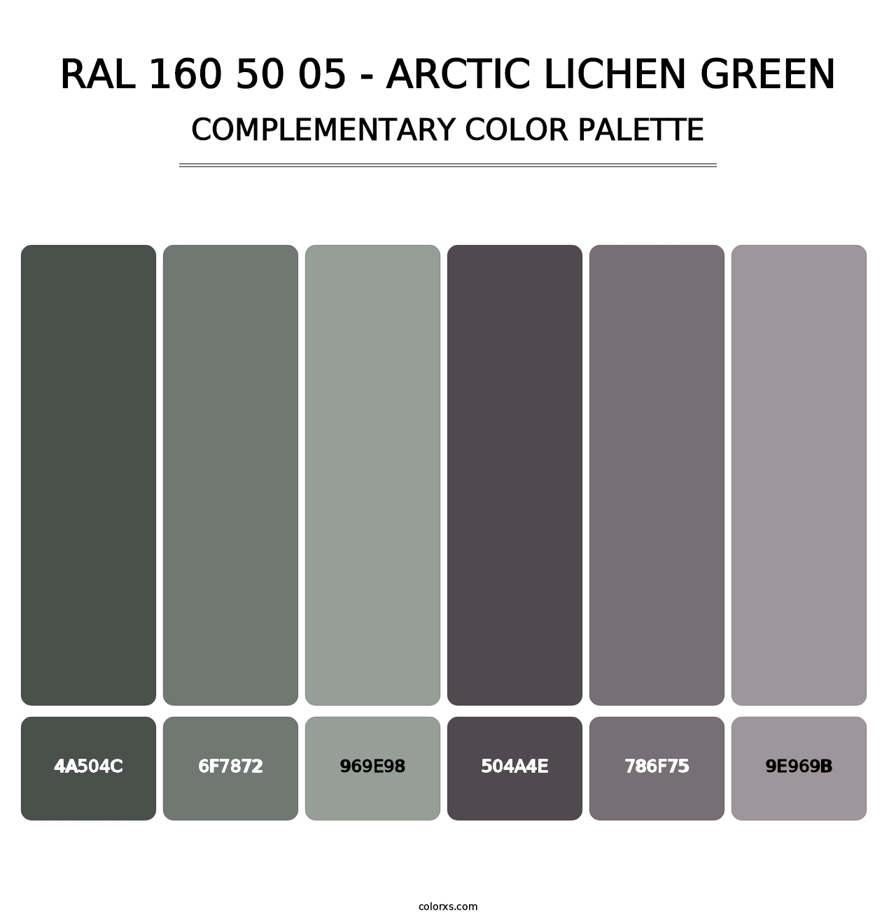 RAL 160 50 05 - Arctic Lichen Green - Complementary Color Palette