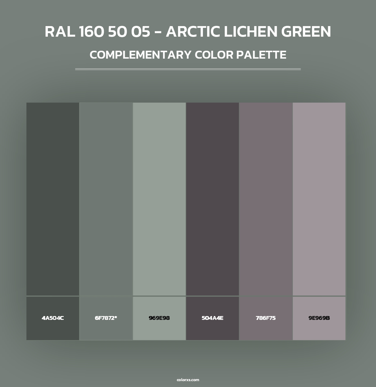 RAL 160 50 05 - Arctic Lichen Green - Complementary Color Palette