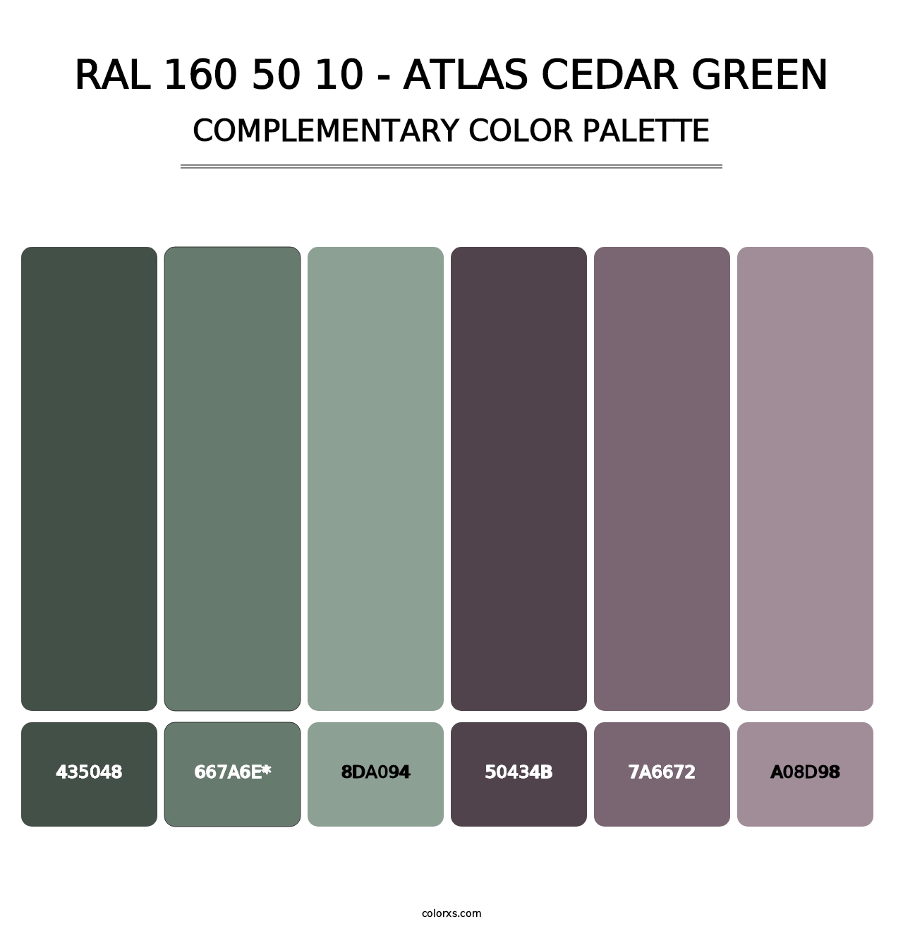 RAL 160 50 10 - Atlas Cedar Green - Complementary Color Palette