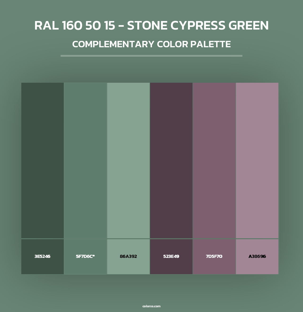 RAL 160 50 15 - Stone Cypress Green - Complementary Color Palette