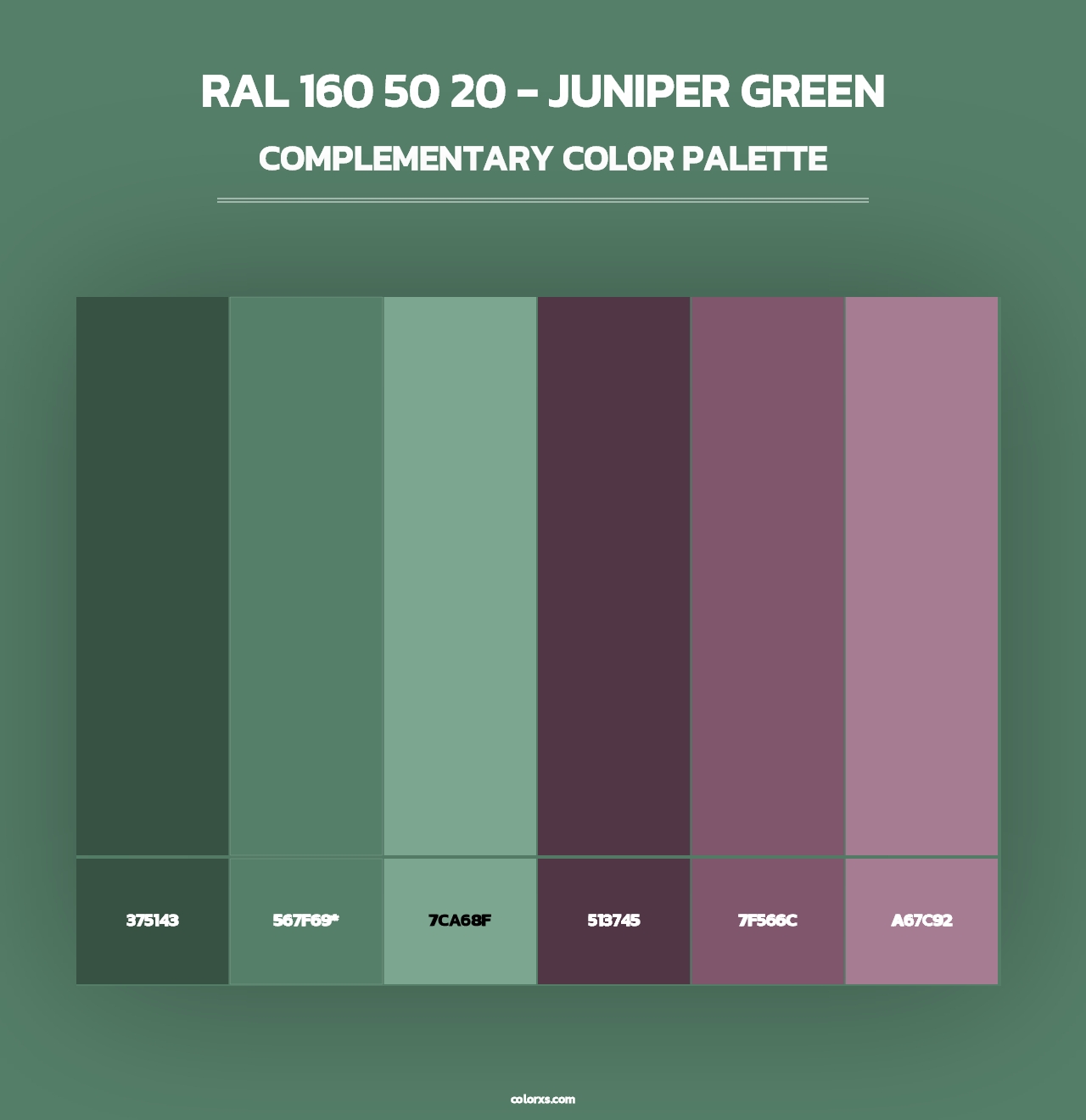 RAL 160 50 20 - Juniper Green - Complementary Color Palette