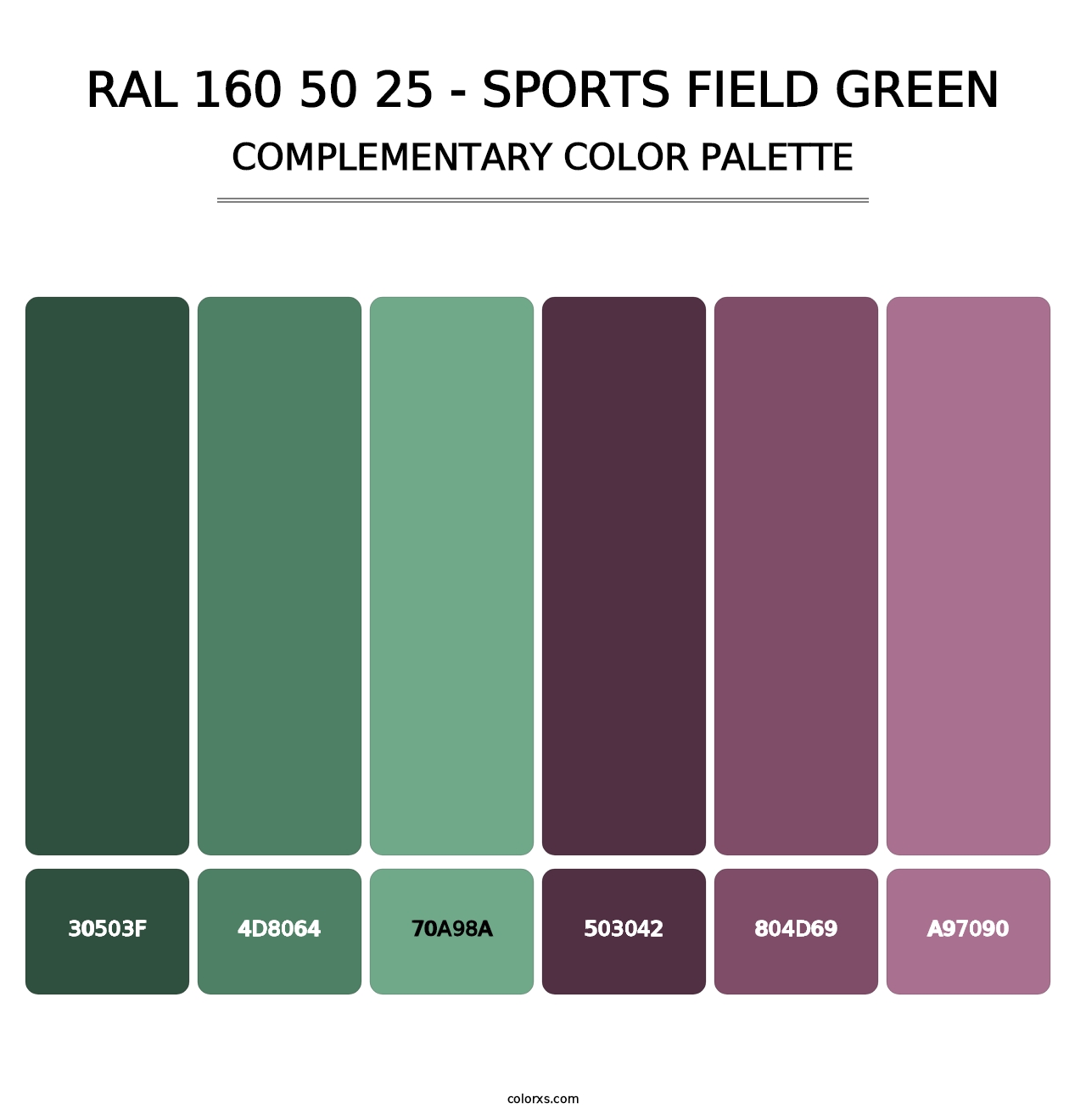 RAL 160 50 25 - Sports Field Green - Complementary Color Palette