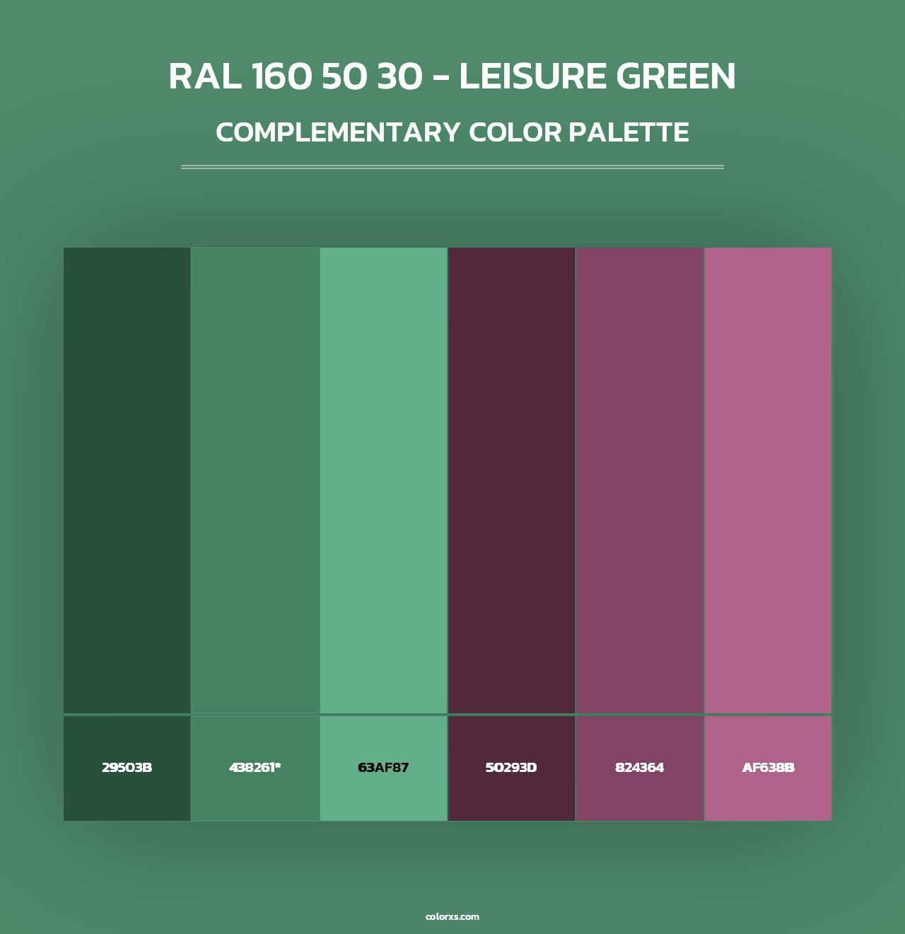 RAL 160 50 30 - Leisure Green - Complementary Color Palette