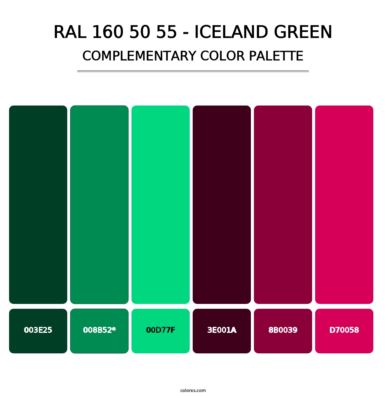 RAL 160 50 55 - Iceland Green - Complementary Color Palette