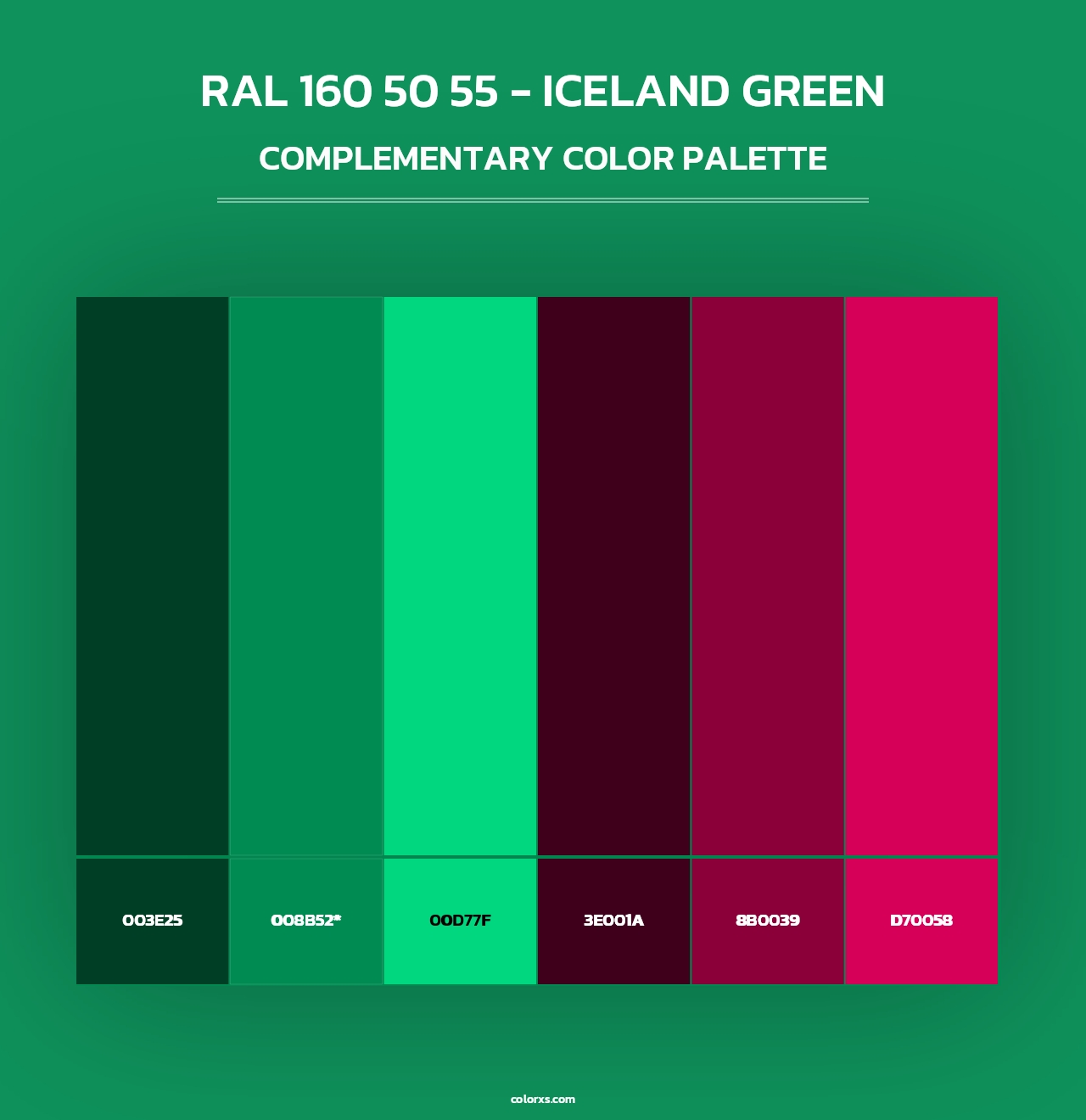 RAL 160 50 55 - Iceland Green - Complementary Color Palette