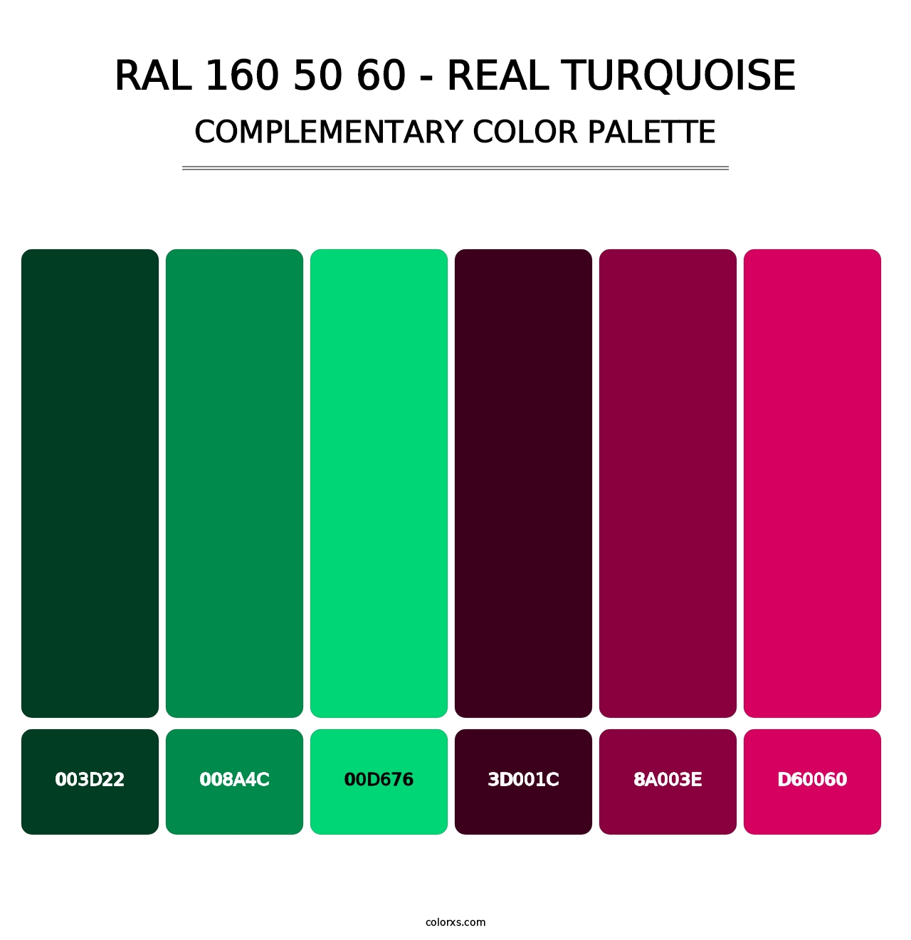RAL 160 50 60 - Real Turquoise - Complementary Color Palette