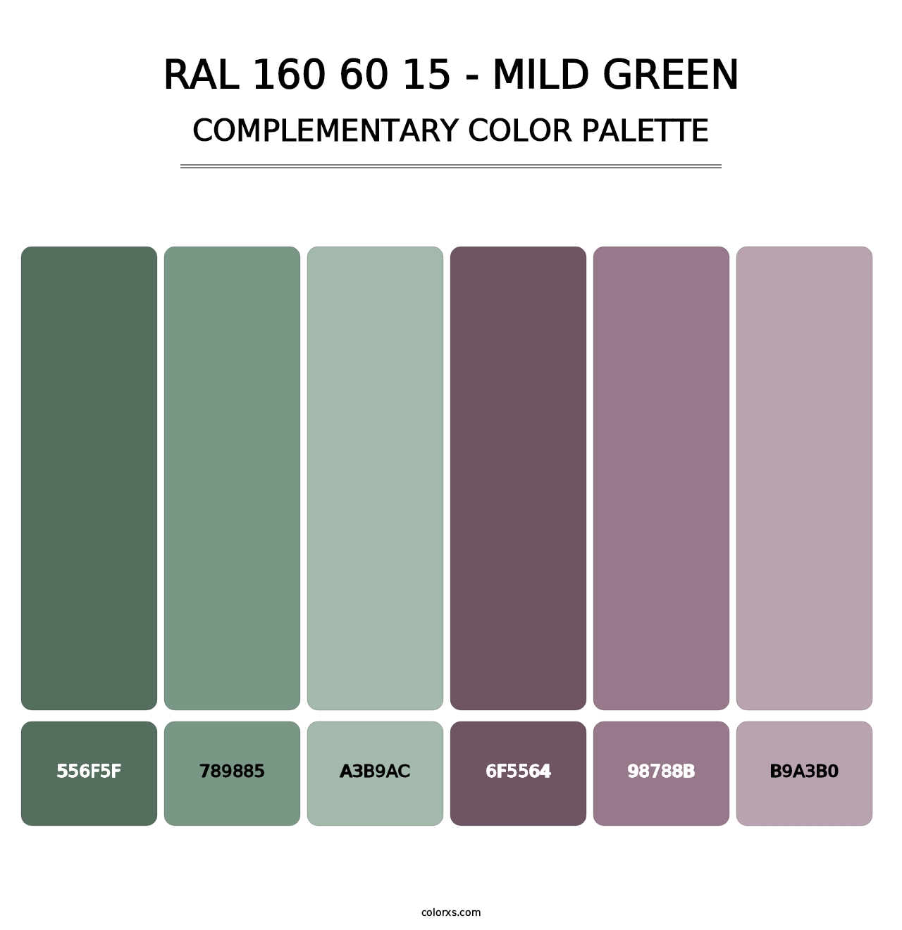 RAL 160 60 15 - Mild Green - Complementary Color Palette