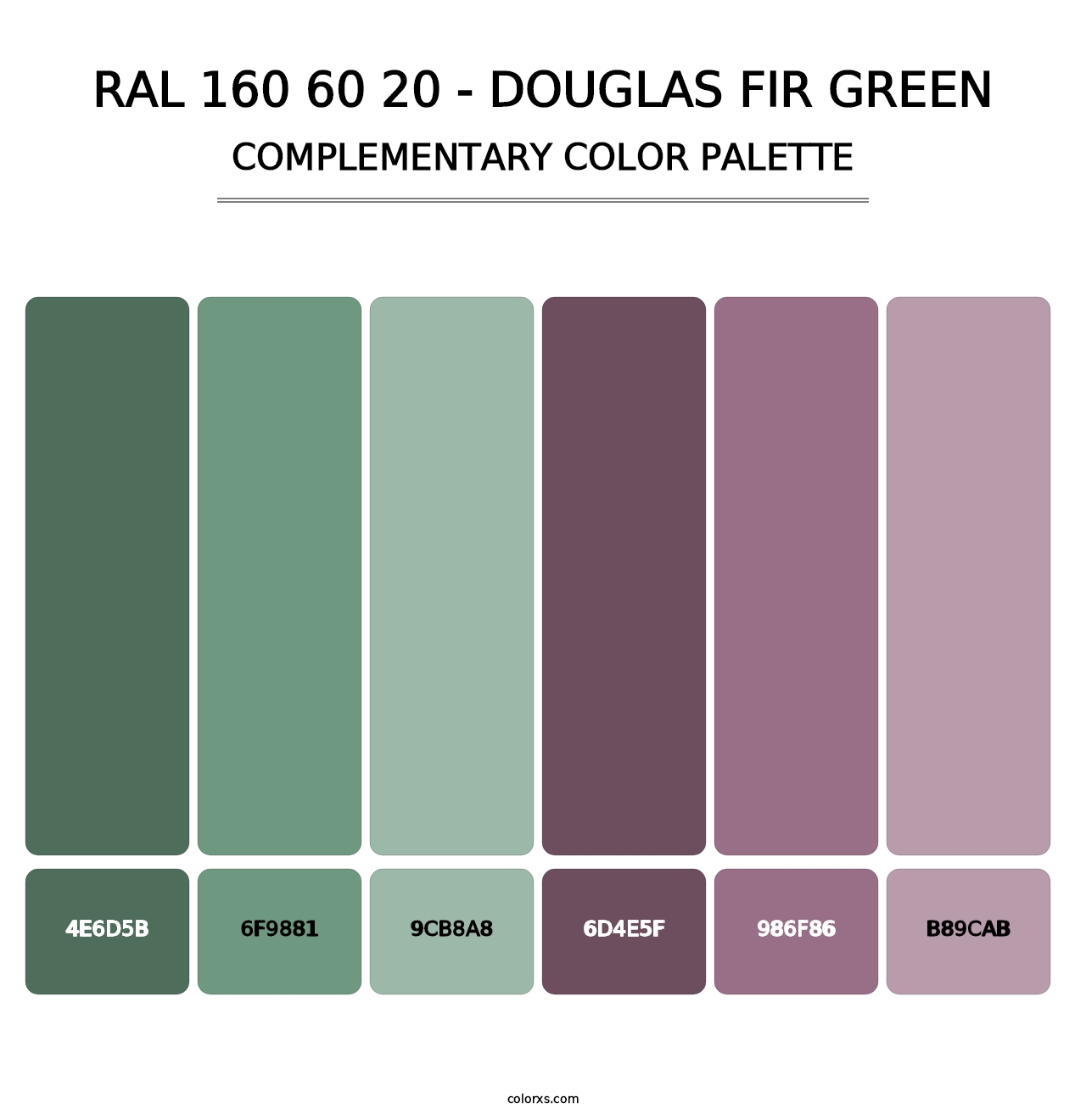 RAL 160 60 20 - Douglas Fir Green - Complementary Color Palette