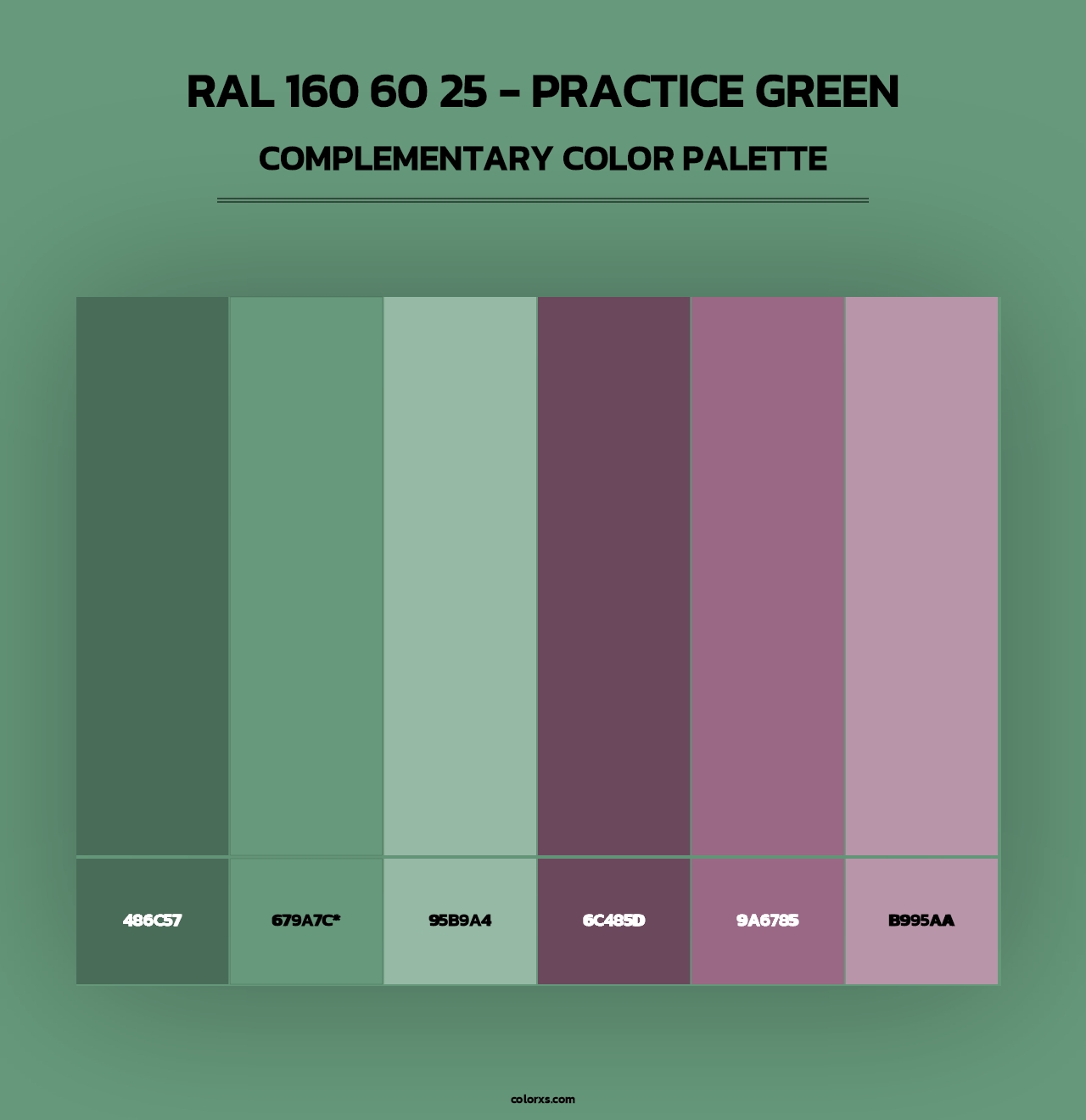 RAL 160 60 25 - Practice Green - Complementary Color Palette