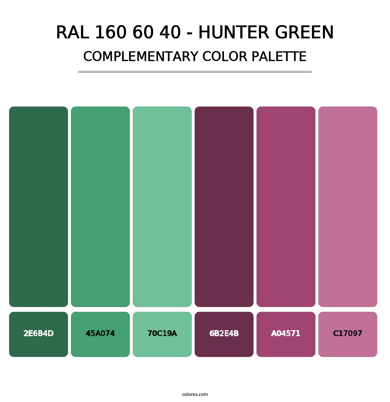 RAL 160 60 40 - Hunter Green - Complementary Color Palette