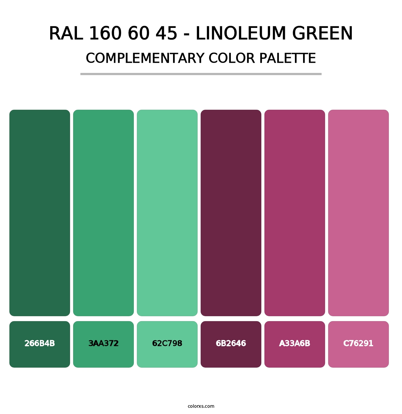 RAL 160 60 45 - Linoleum Green - Complementary Color Palette