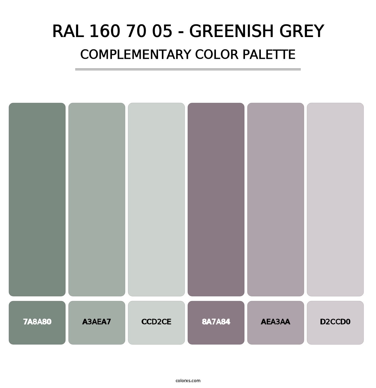 RAL 160 70 05 - Greenish Grey - Complementary Color Palette