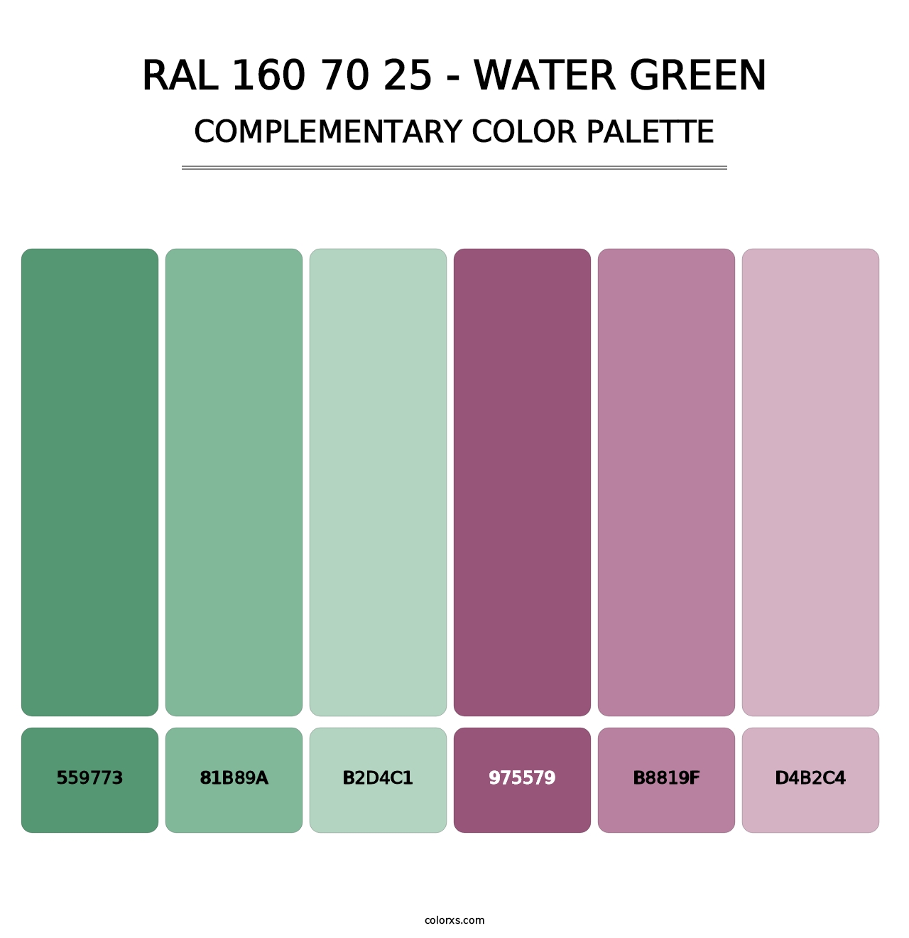RAL 160 70 25 - Water Green - Complementary Color Palette