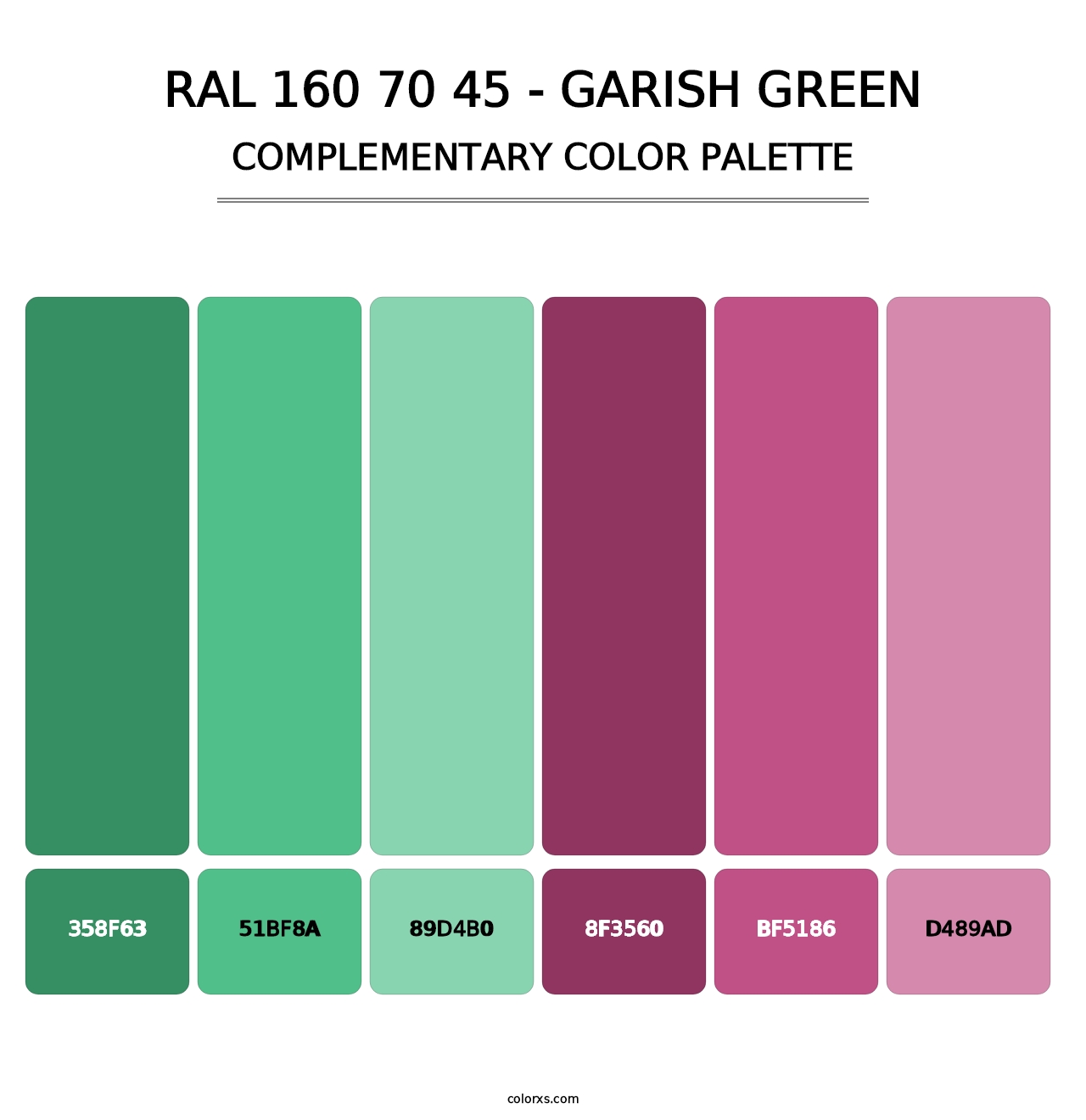 RAL 160 70 45 - Garish Green - Complementary Color Palette