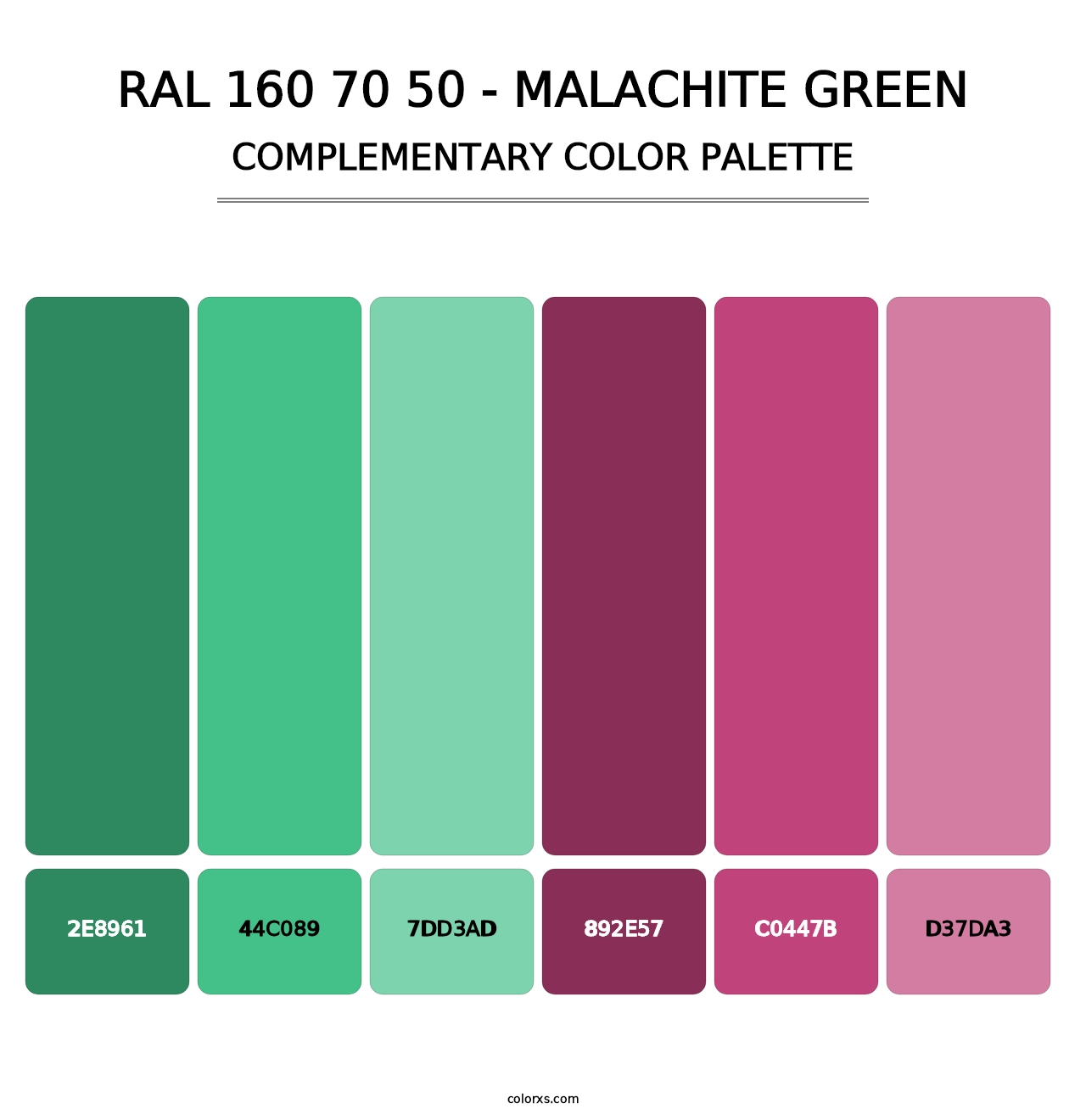 RAL 160 70 50 - Malachite Green - Complementary Color Palette