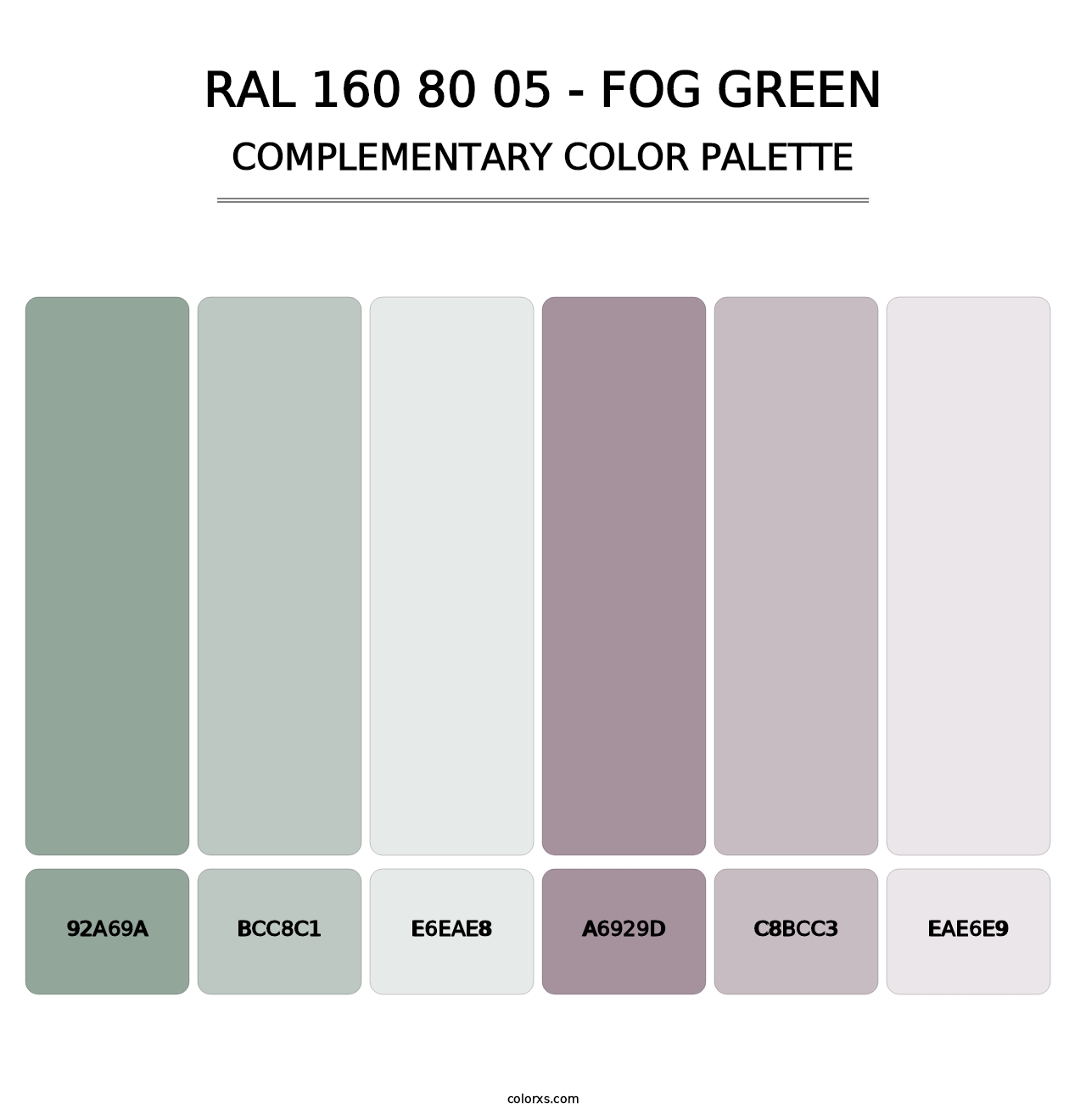 RAL 160 80 05 - Fog Green - Complementary Color Palette