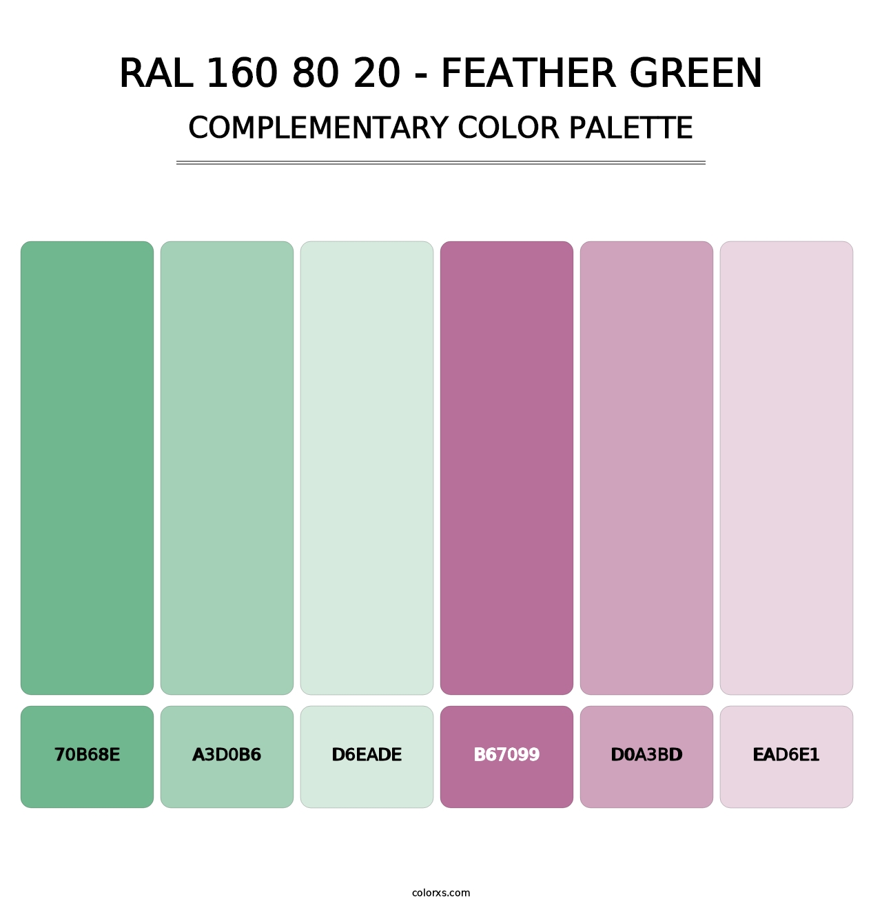RAL 160 80 20 - Feather Green - Complementary Color Palette