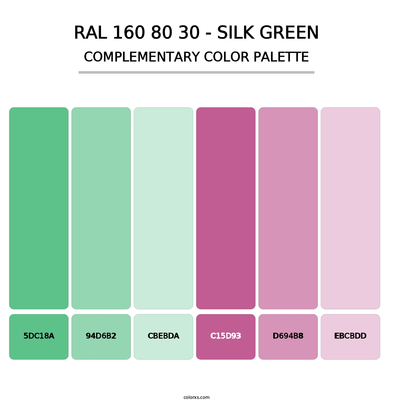 RAL 160 80 30 - Silk Green - Complementary Color Palette